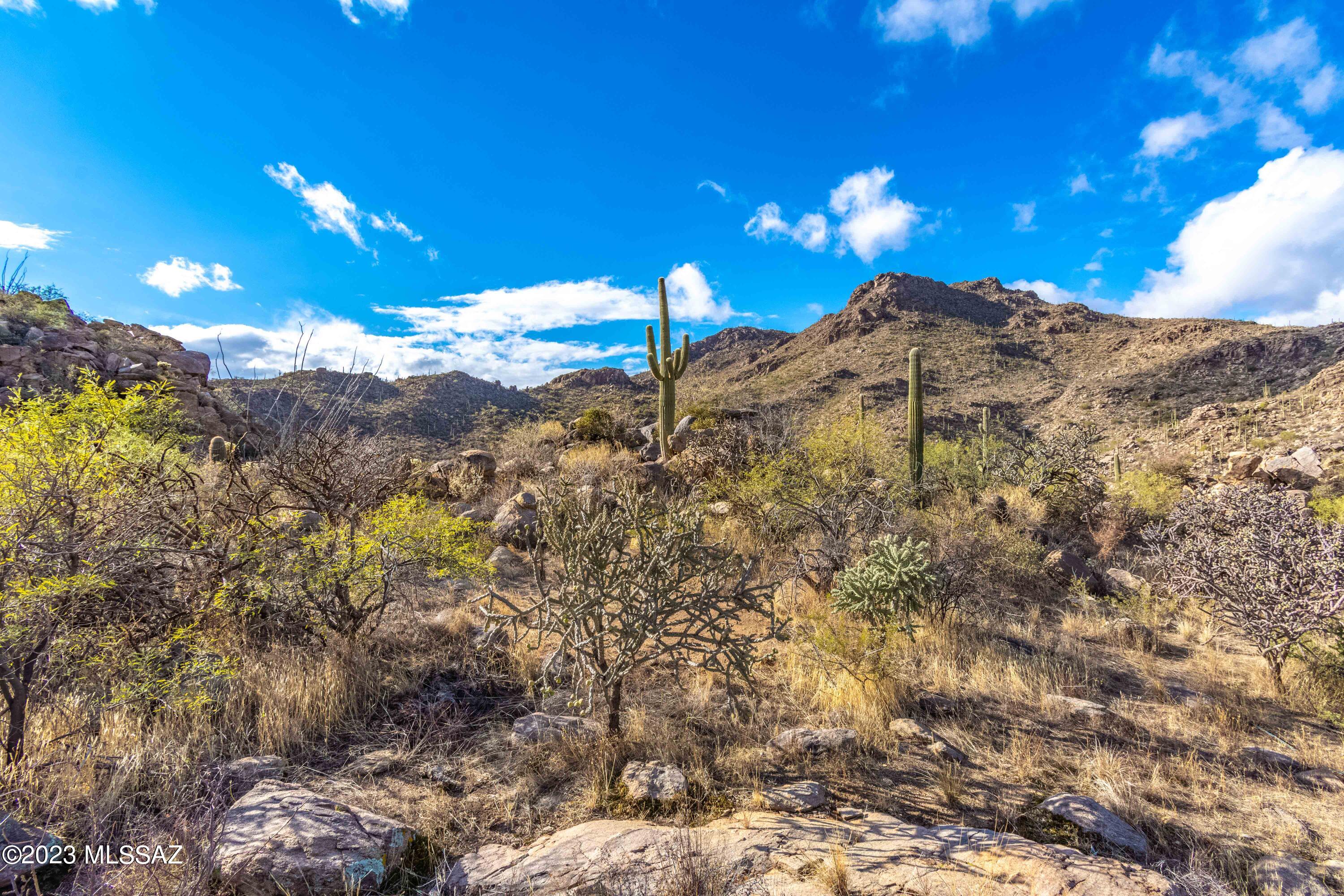 Moonlight Canyon at Saguaro Ranch Phase 1 - Land