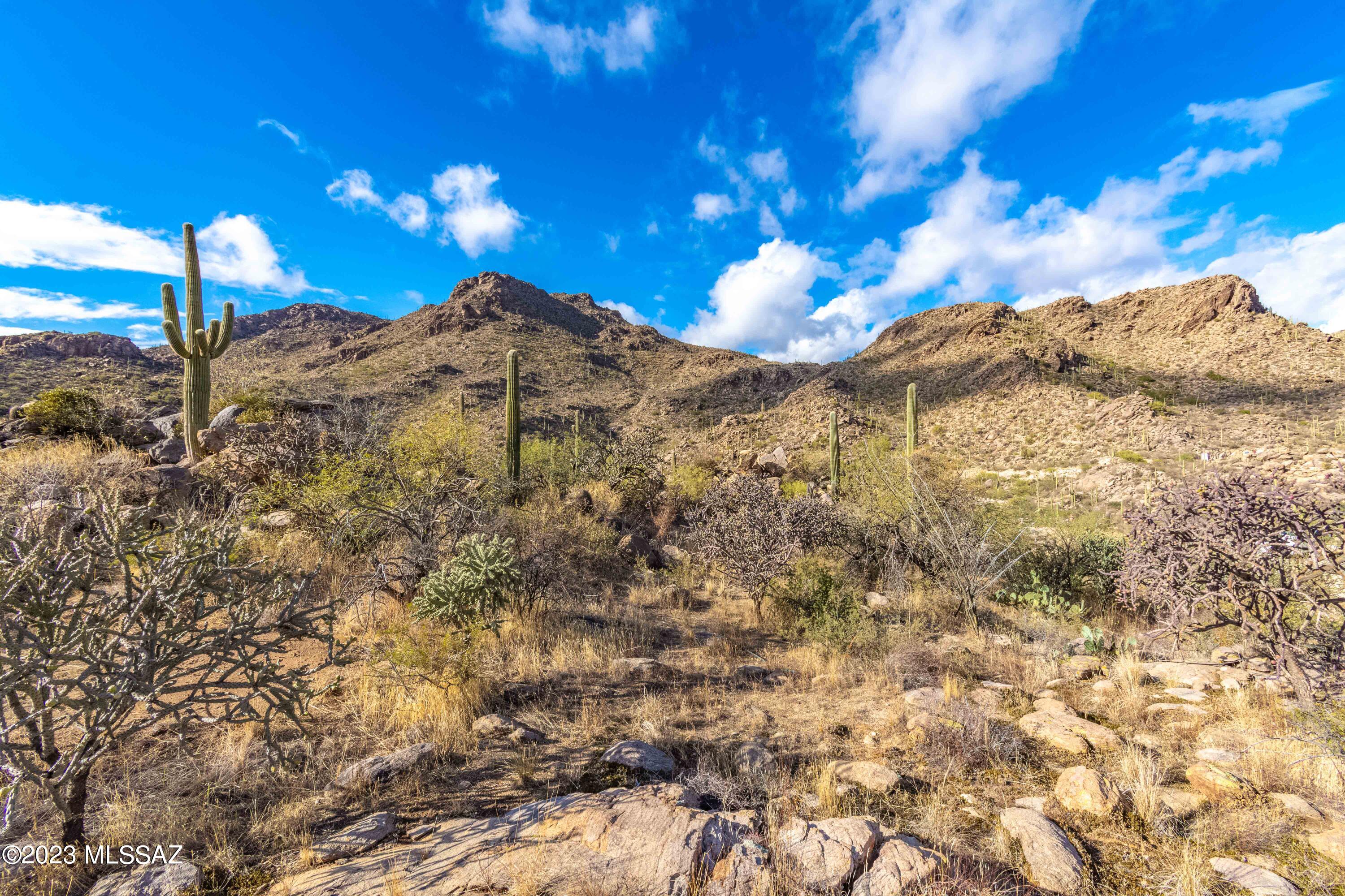 Moonlight Canyon at Saguaro Ranch Phase 1 - Land