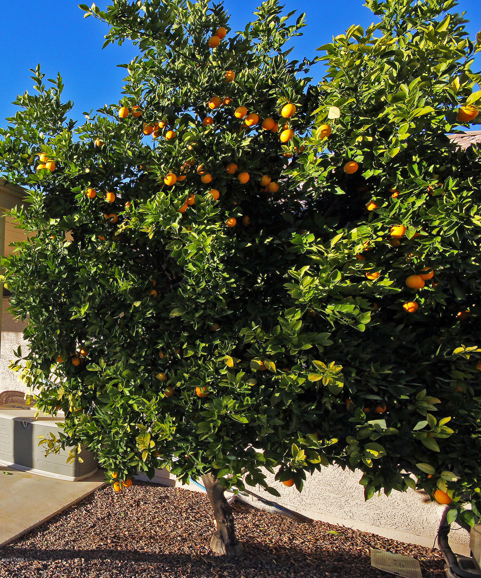 Copper Creek(Diamond Key At) - Residential