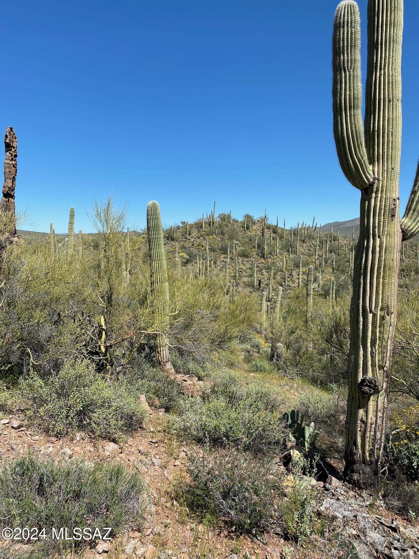 Stunning 10 acre parcel adjacent to Arizona state trust land to the North. This parcel sits in the shadow of the Southernmost Owl Head Butte. Stands of cactus dot the rolling hills of this beautiful property. Road access to the property, undisturbed natural desert and a well share will be appreciated by the lucky buyer of this parcel.