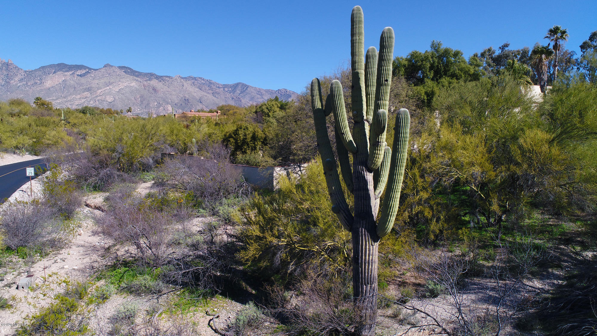 Catalina Foothills Est. NO. 10 (73-90, 119, 121, 123, 127-146) - Land