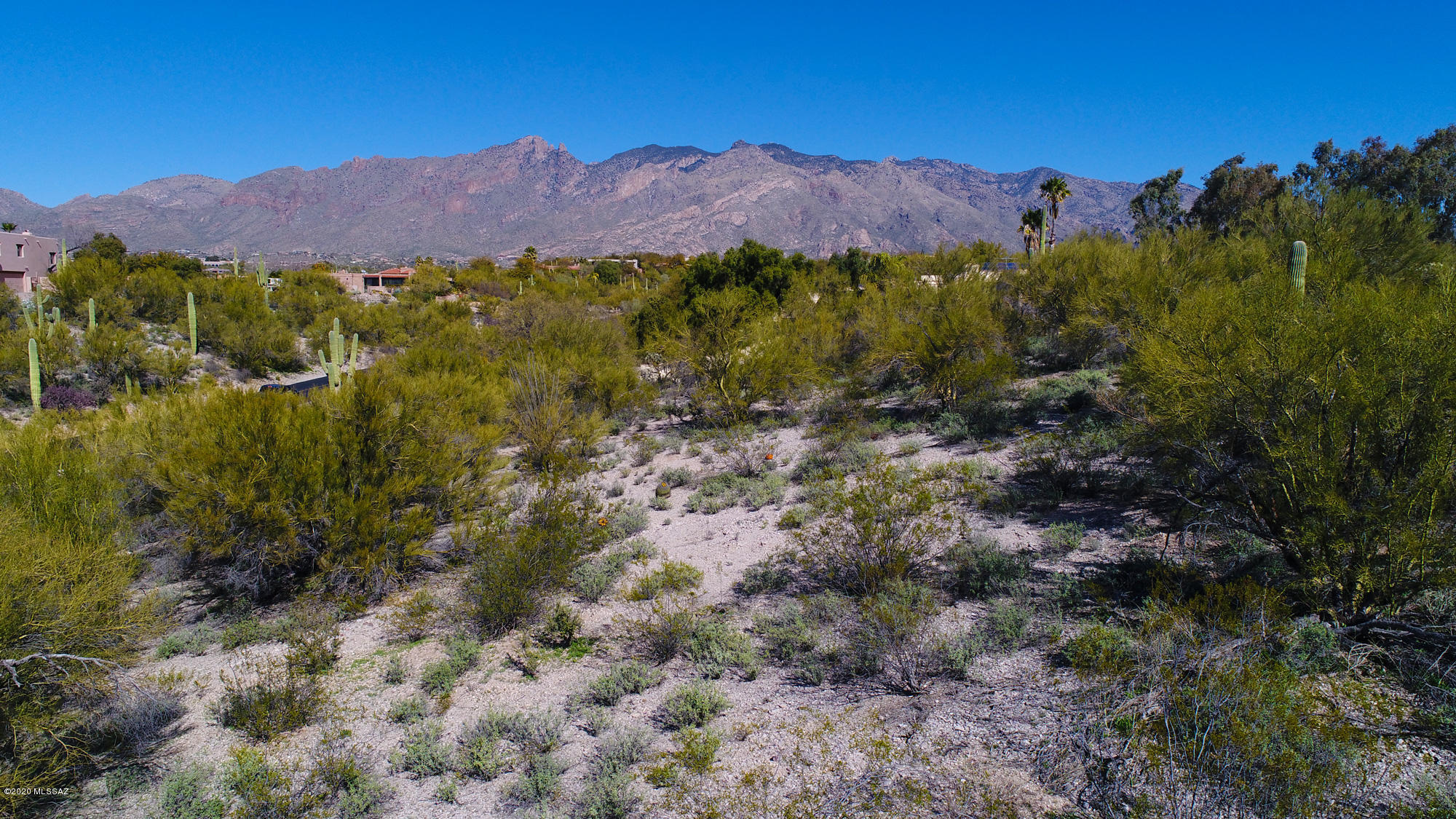 Catalina Foothills Est. NO. 10 (73-90, 119, 121, 123, 127-146) - Land