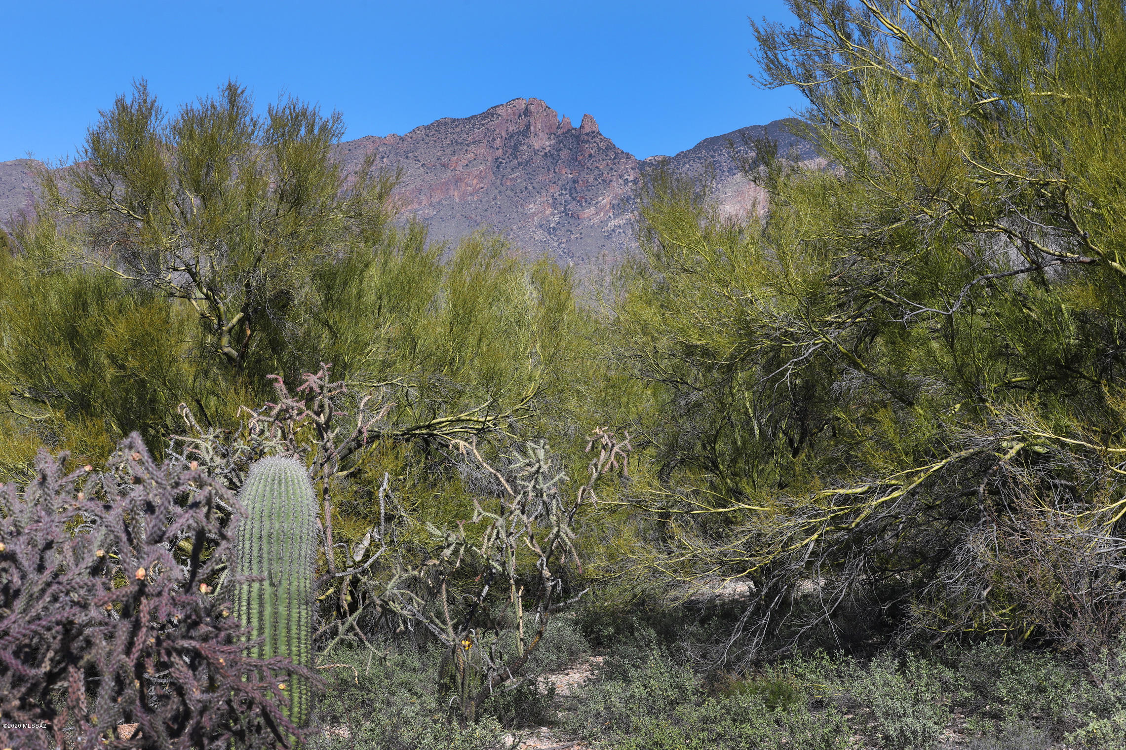 Catalina Foothills Est. NO. 10 (73-90, 119, 121, 123, 127-146) - Land