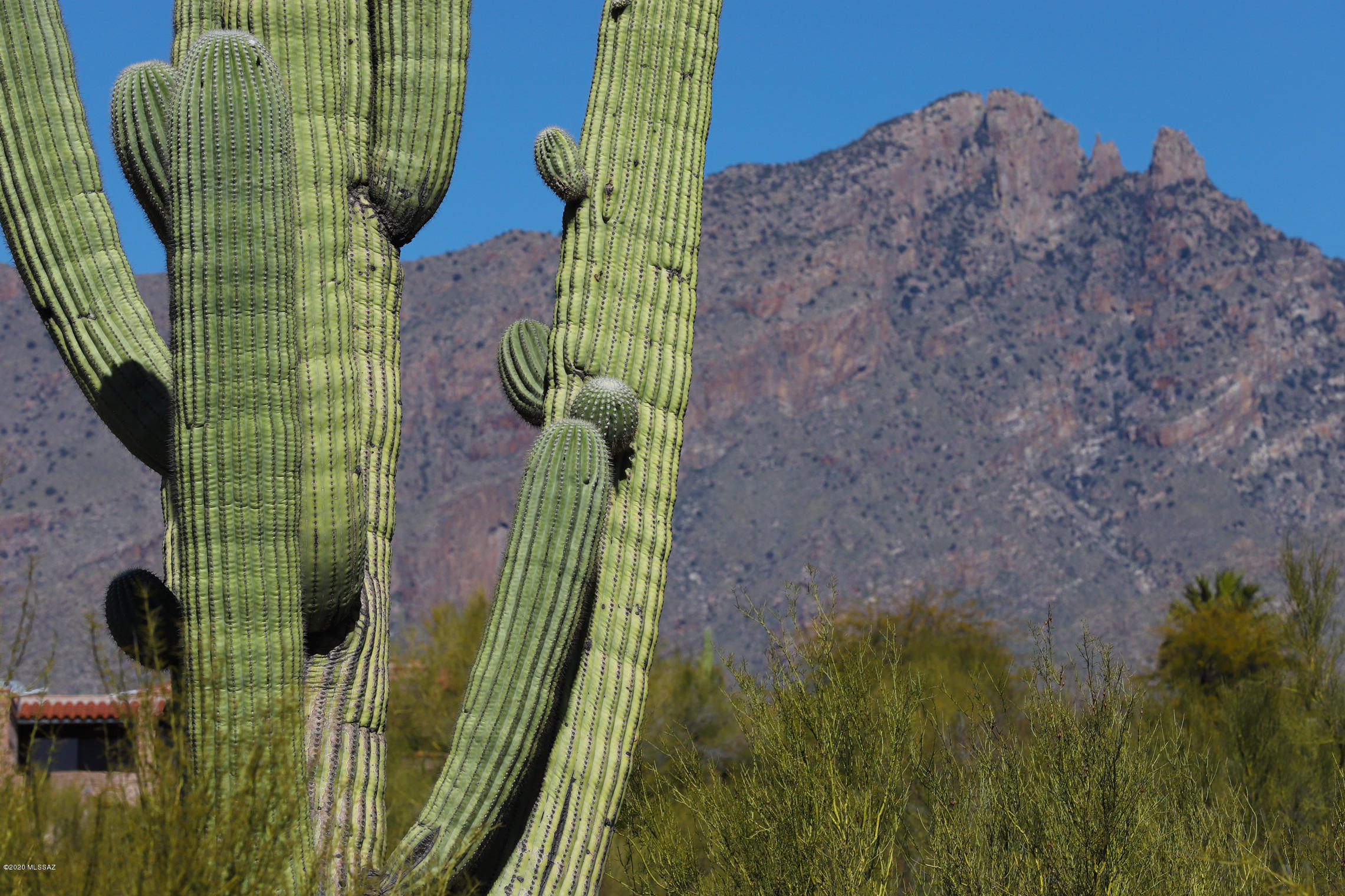 Catalina Foothills Est. NO. 10 (73-90, 119, 121, 123, 127-146) - Land