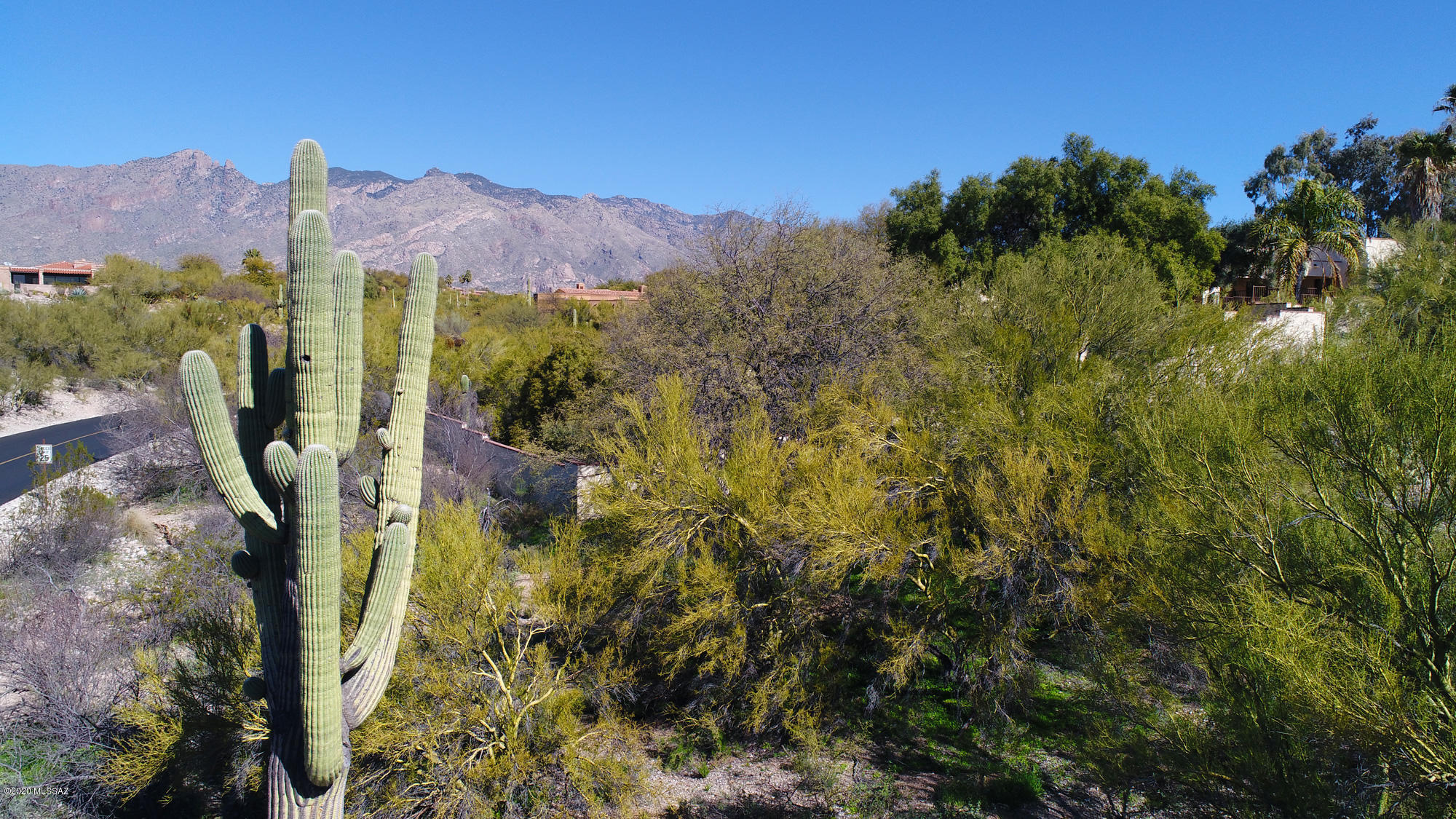Catalina Foothills Est. NO. 10 (73-90, 119, 121, 123, 127-146) - Land