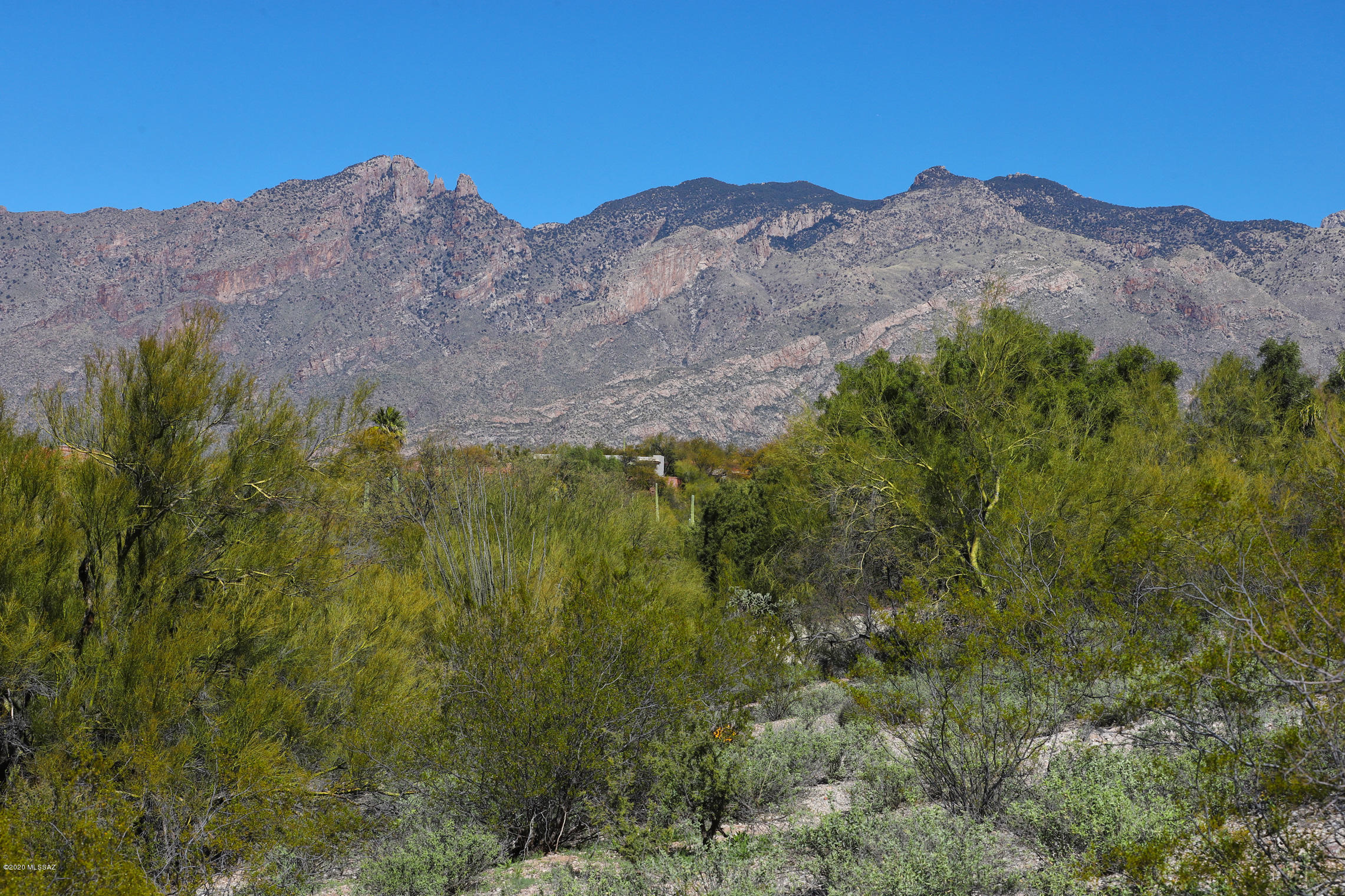 Catalina Foothills Est. NO. 10 (73-90, 119, 121, 123, 127-146) - Land