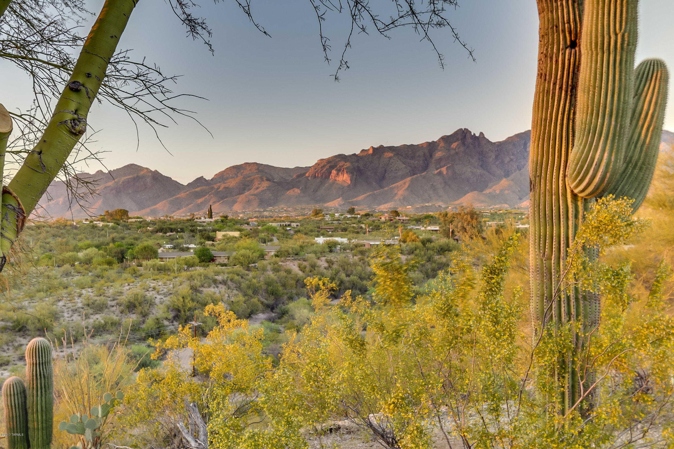 Catalina Foothills Estates - Residential