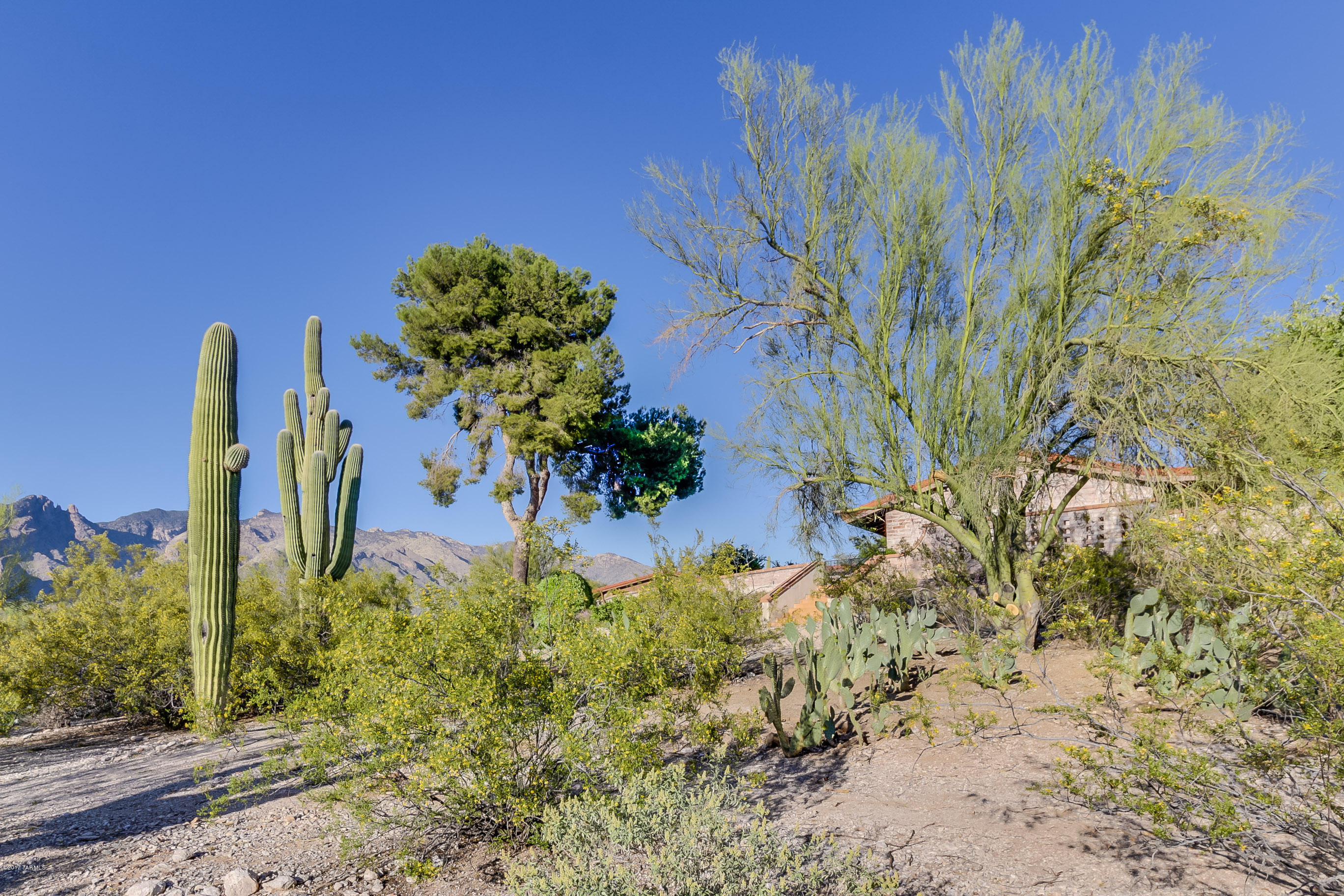 Catalina Foothills Estates - Residential