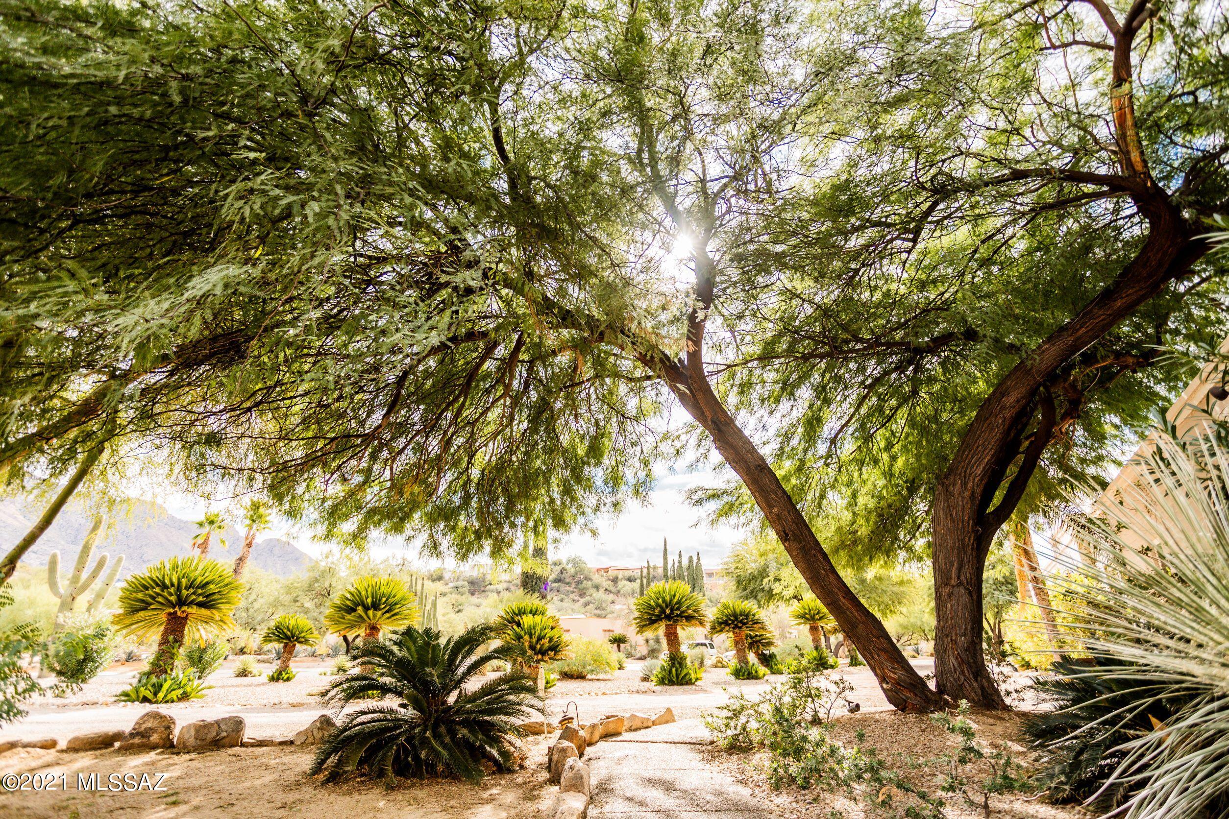 Oro Valley Estates - Residential