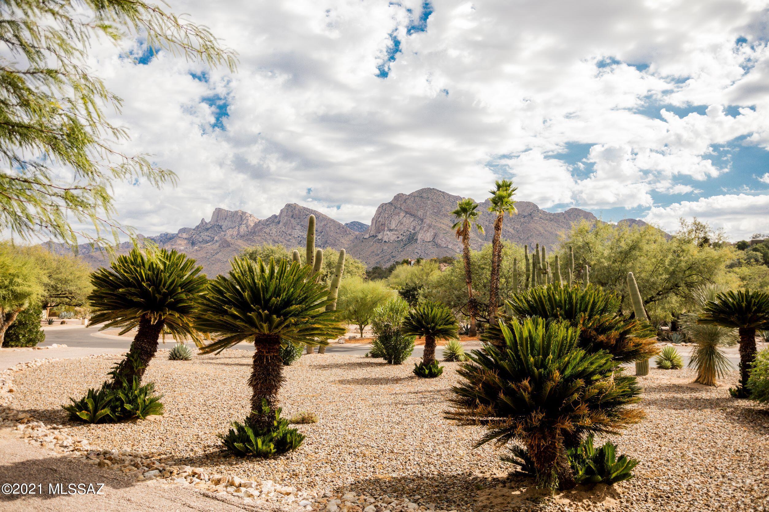 Oro Valley Estates - Residential