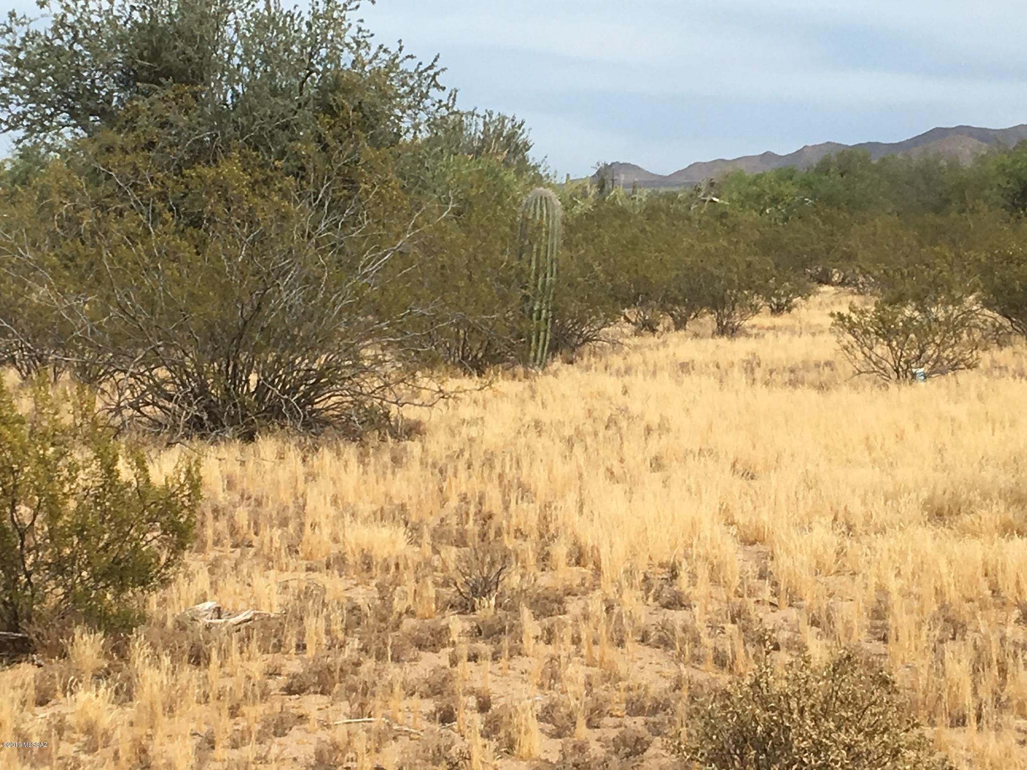 Avra Valley 1 - Land