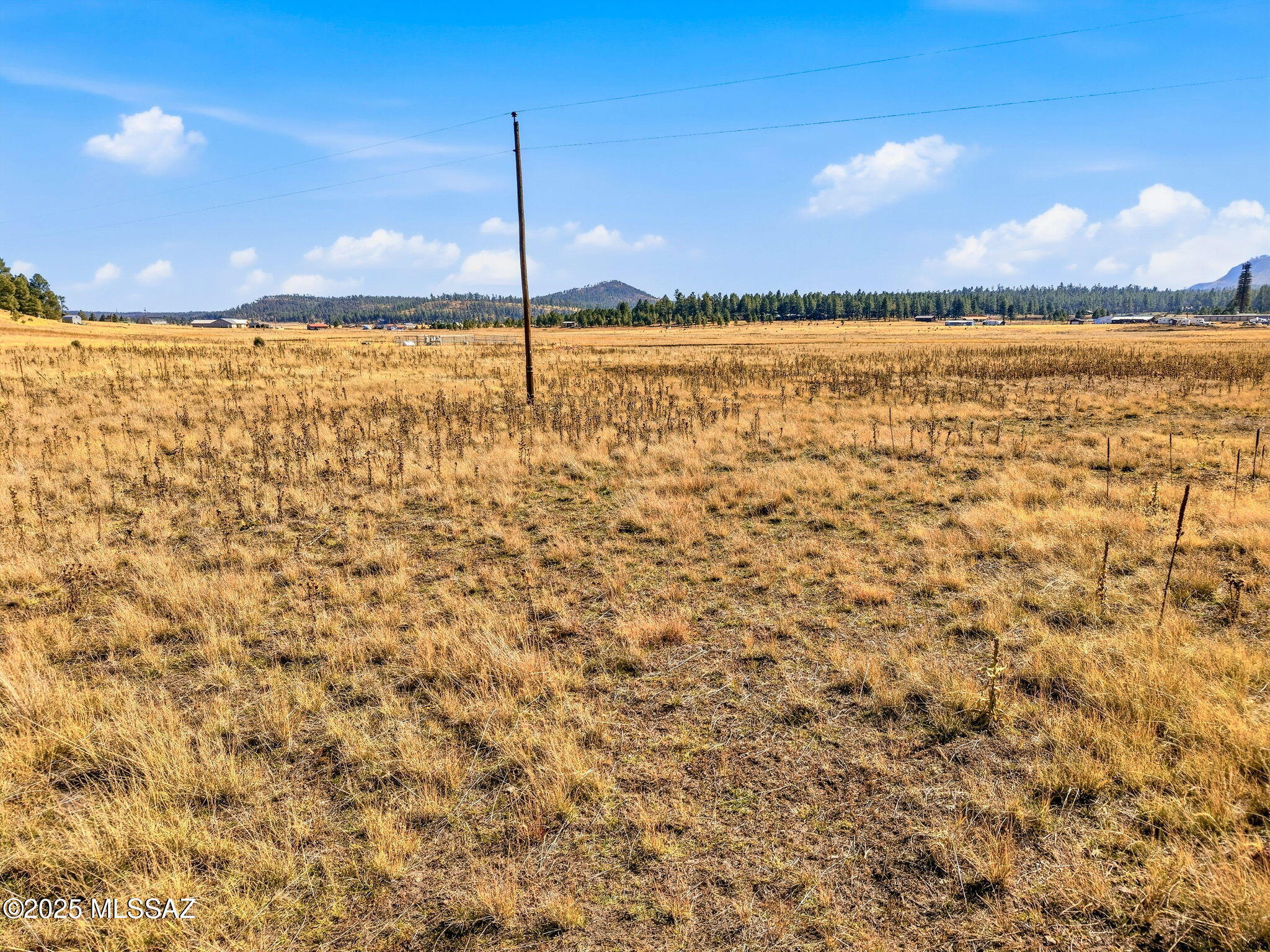 Out Of Pima County - Land