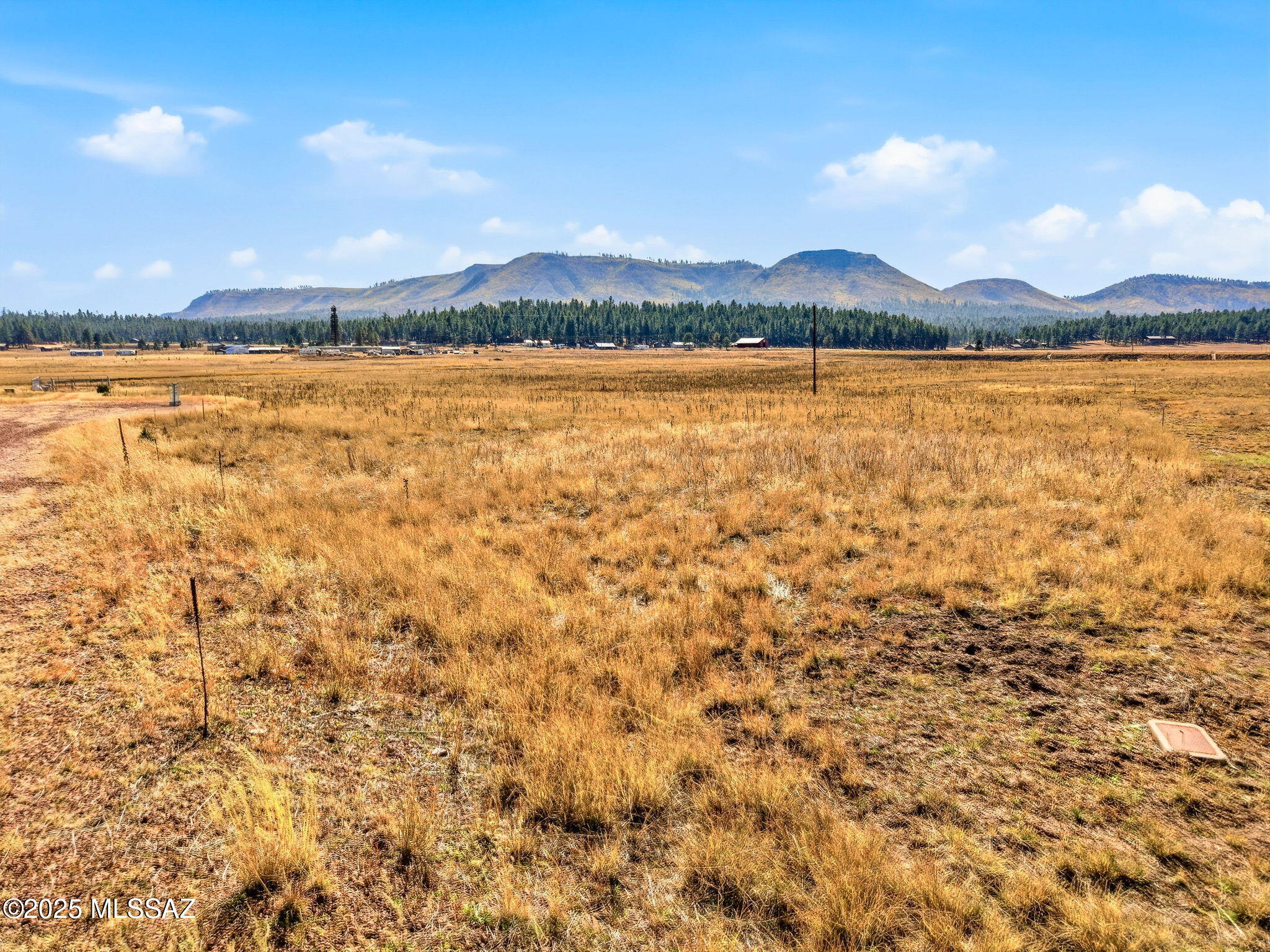 Out Of Pima County - Land