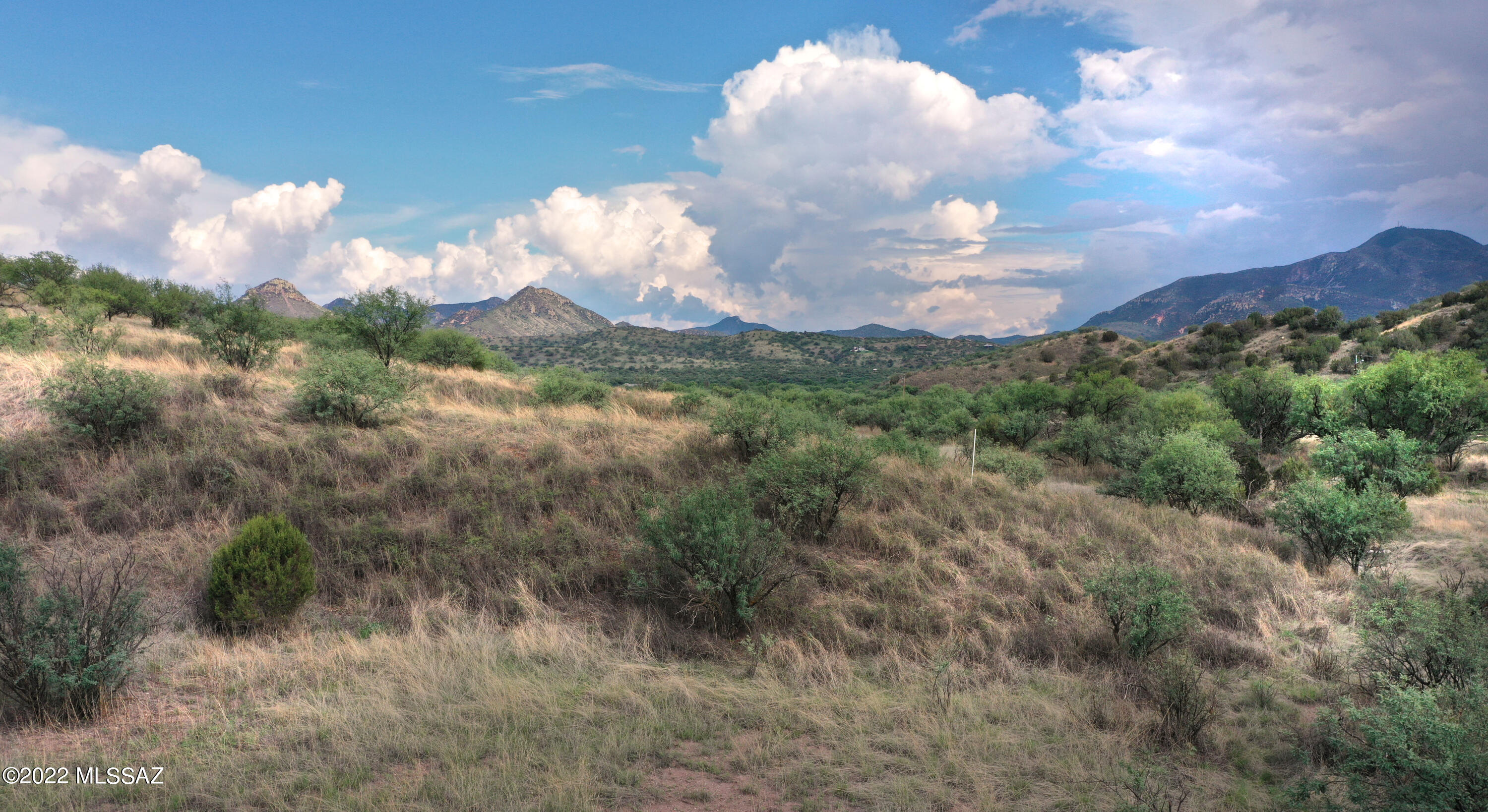 Stevens Canyon Ranch - Land