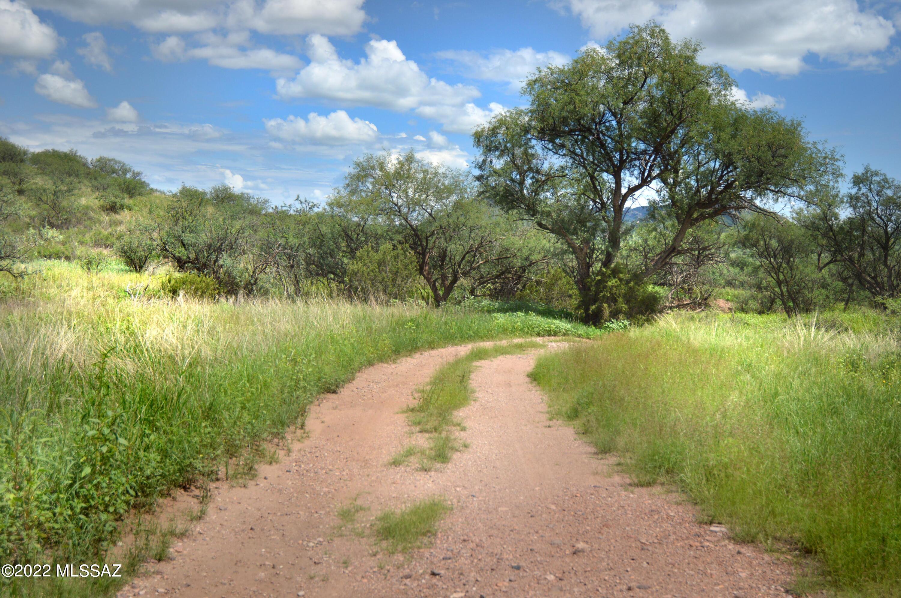 Stevens Canyon Ranch - Land