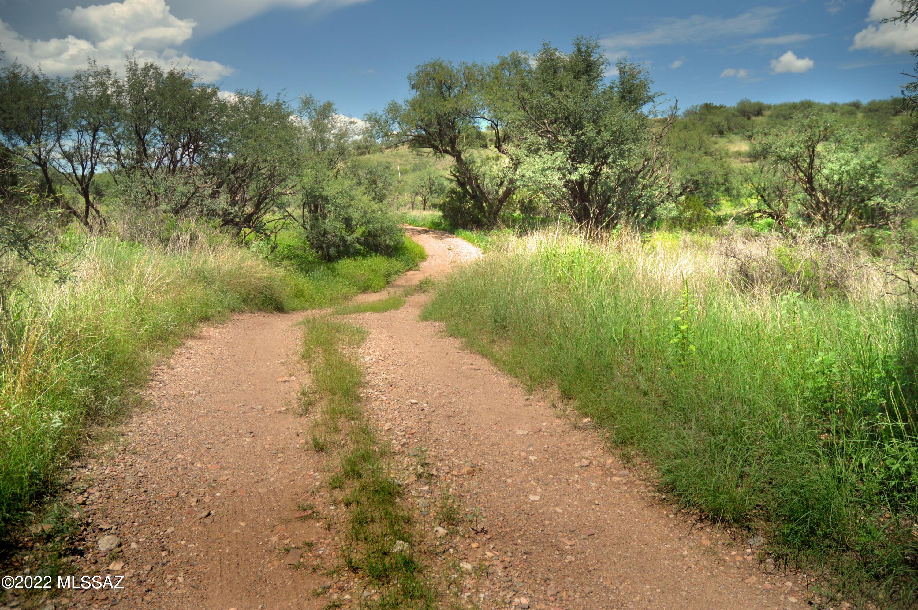 Stevens Canyon Ranch - Land