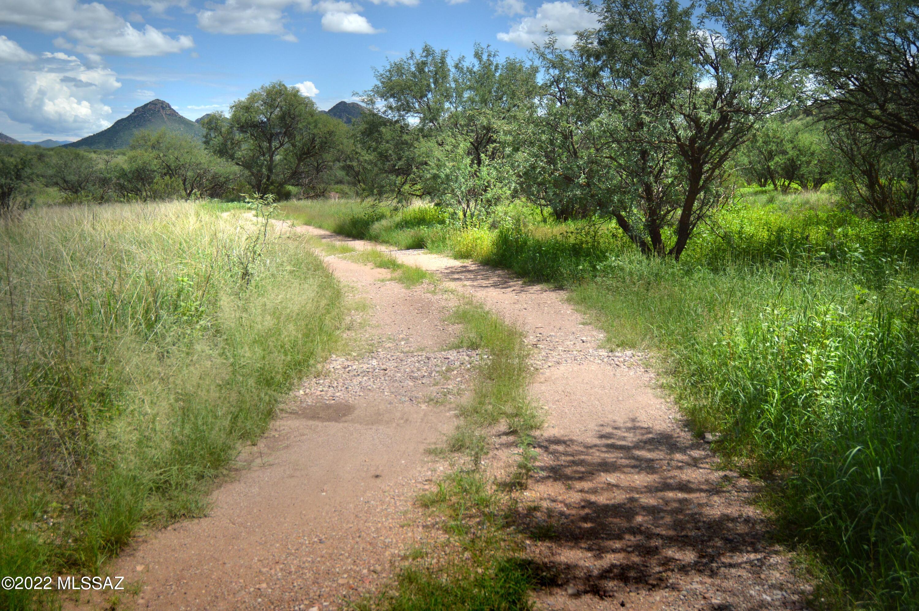 Stevens Canyon Ranch - Land