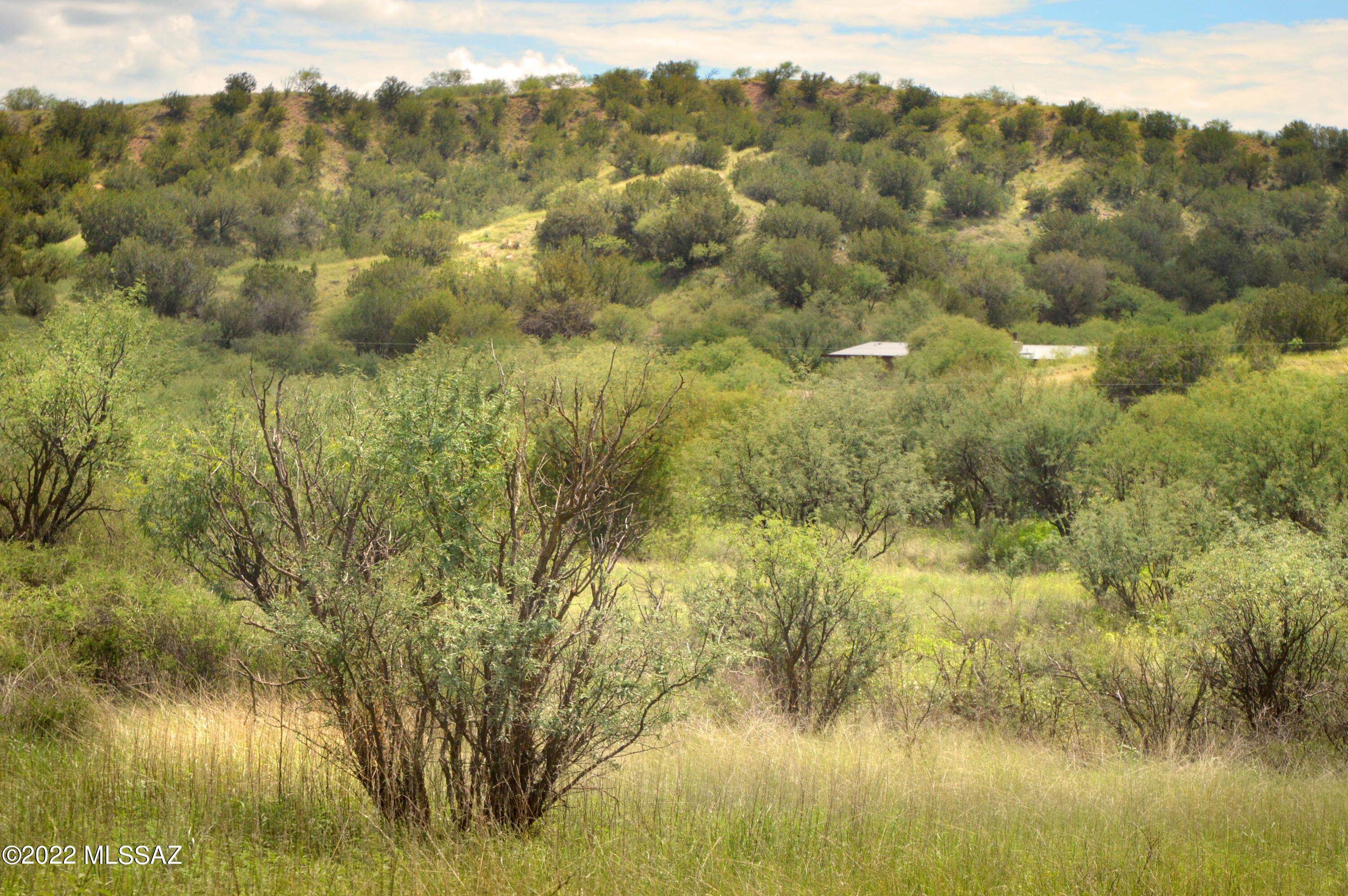 Stevens Canyon Ranch - Land