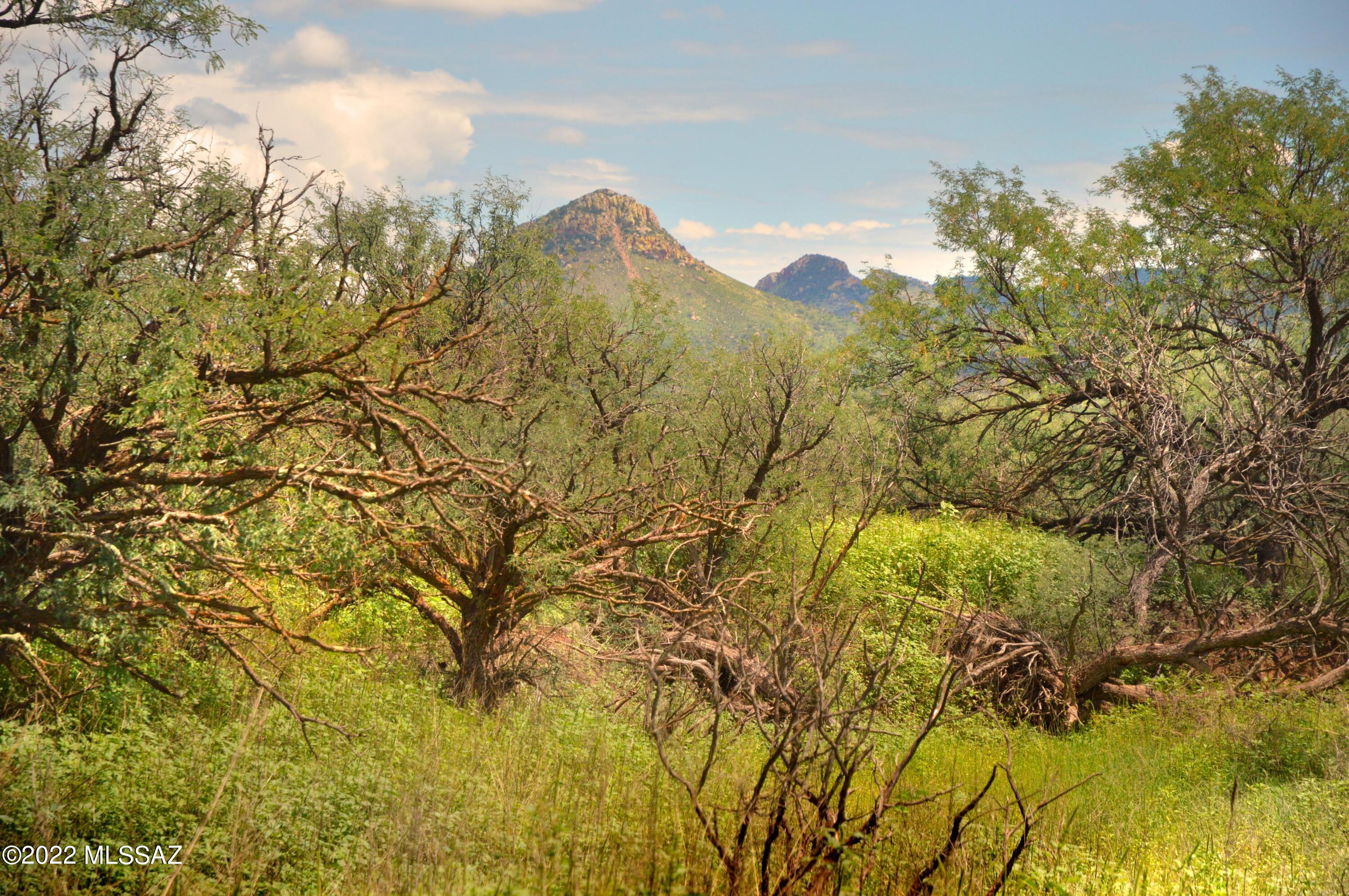 Stevens Canyon Ranch - Land