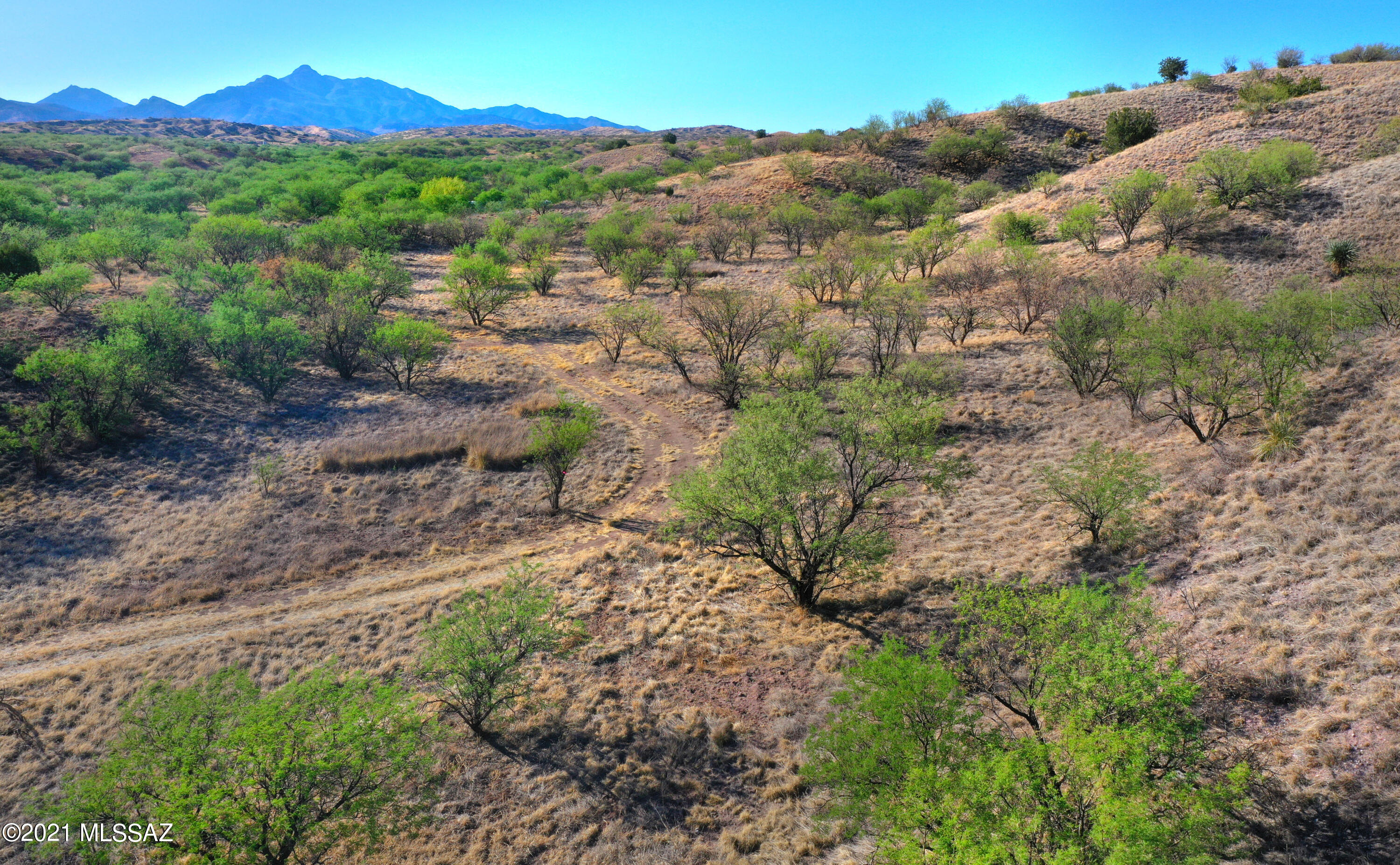 Stevens Canyon Ranch - Land