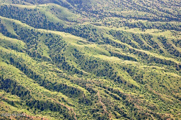 Stevens Canyon Ranch - Land