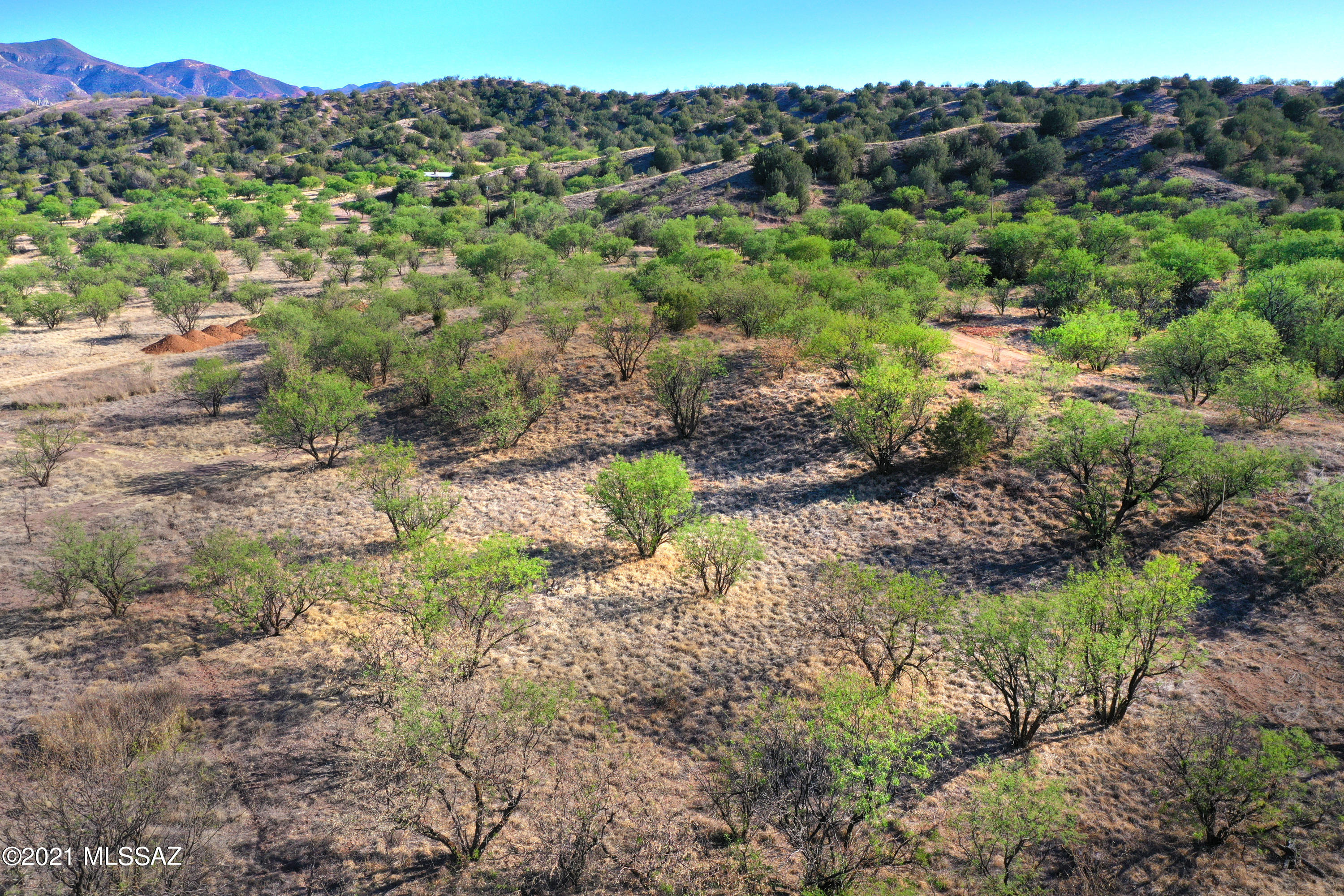 Stevens Canyon Ranch - Land
