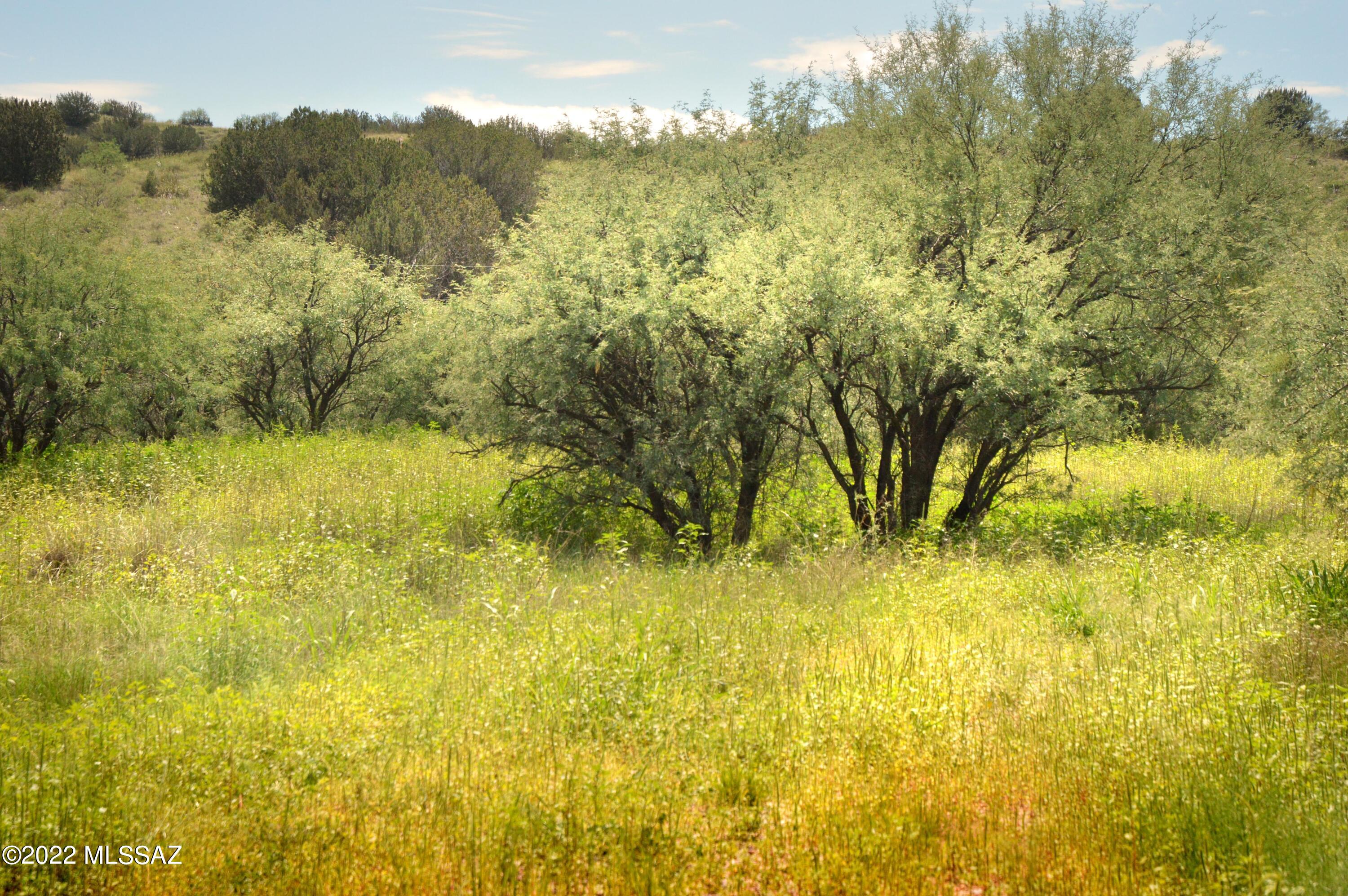 Stevens Canyon Ranch - Land
