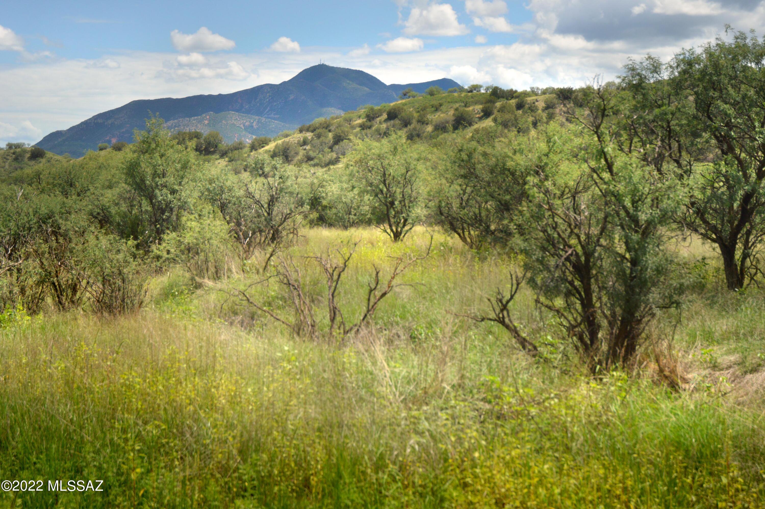 Stevens Canyon Ranch - Land