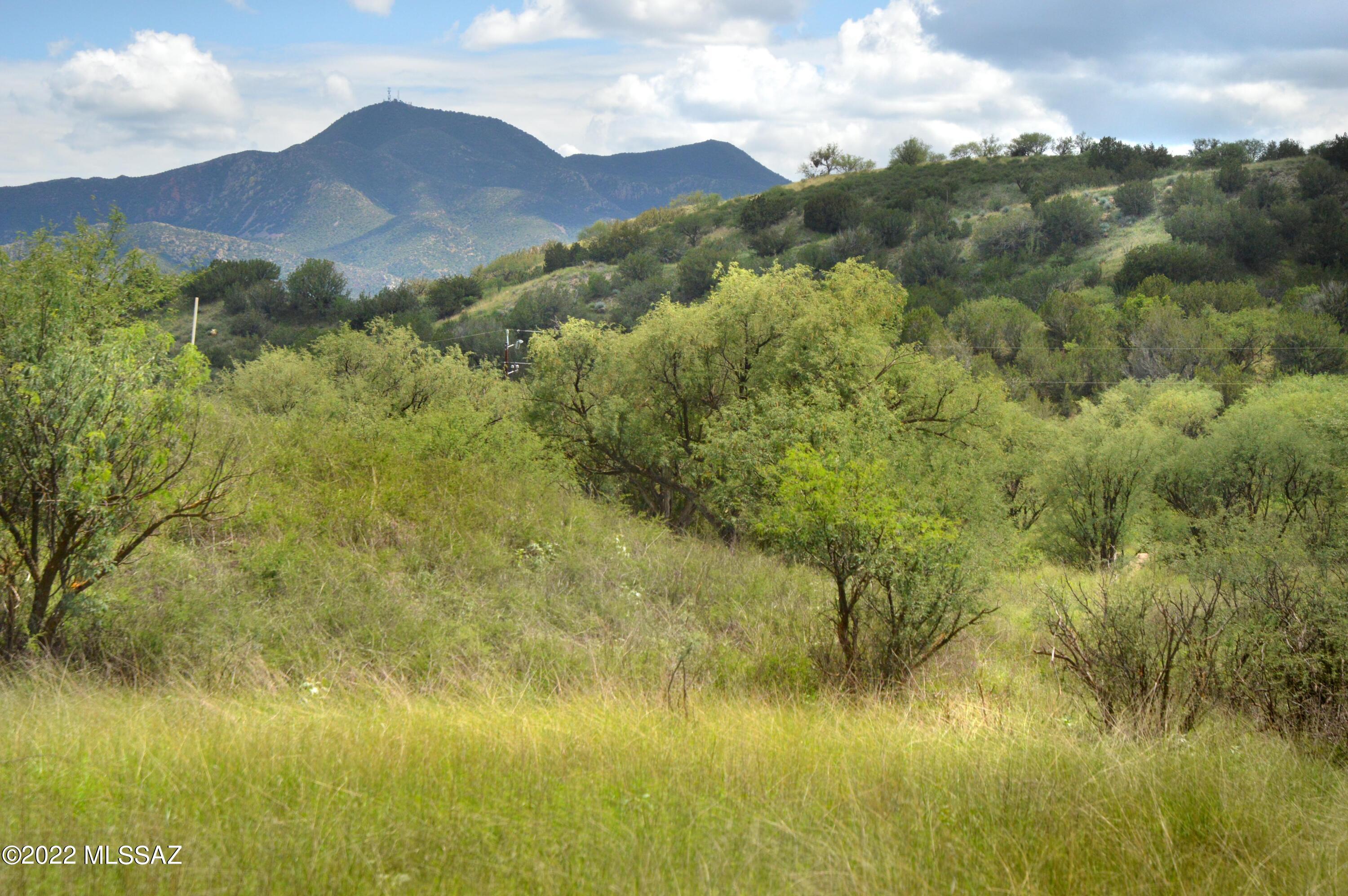 Stevens Canyon Ranch - Land