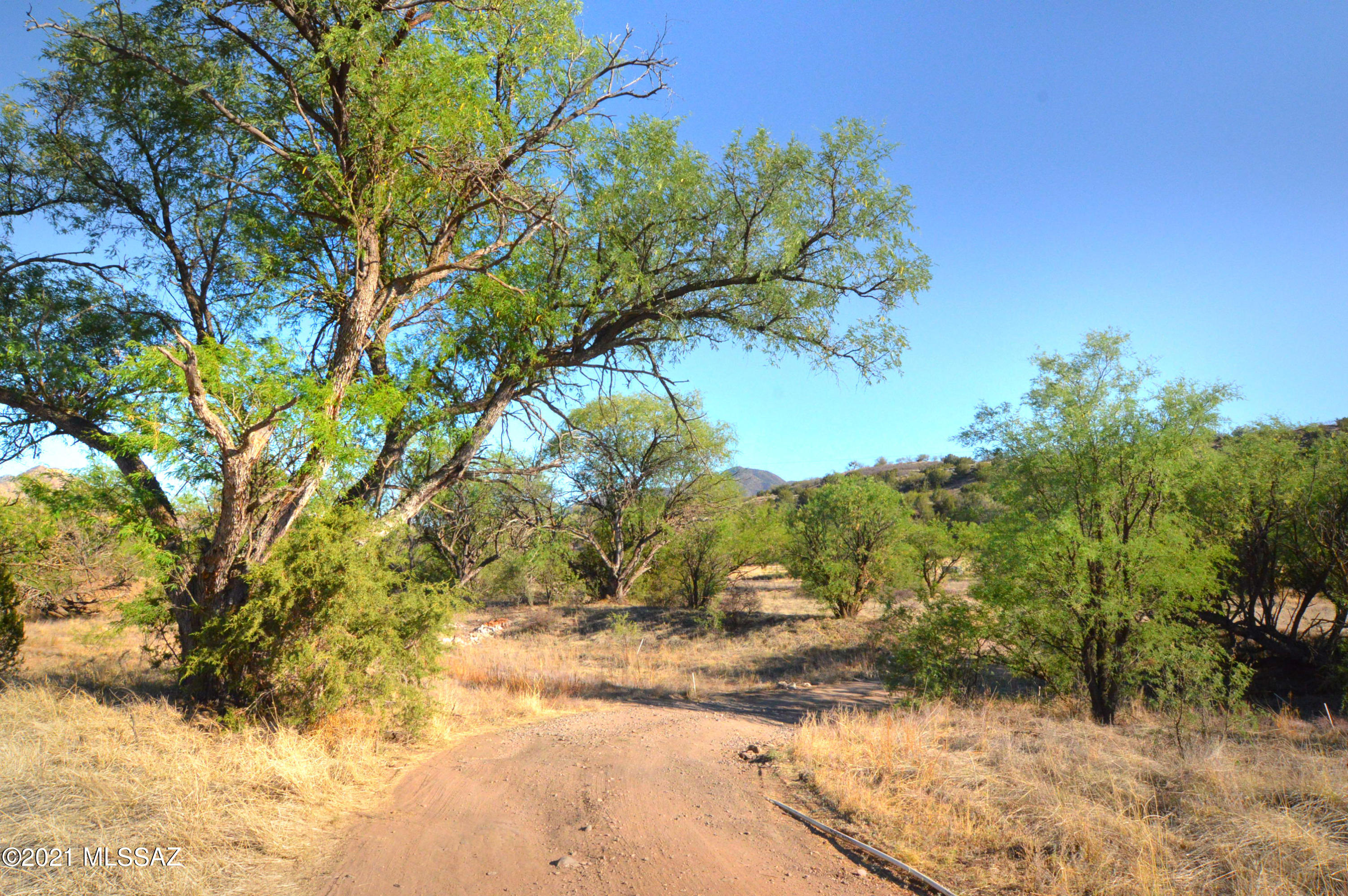 Stevens Canyon Ranch - Land
