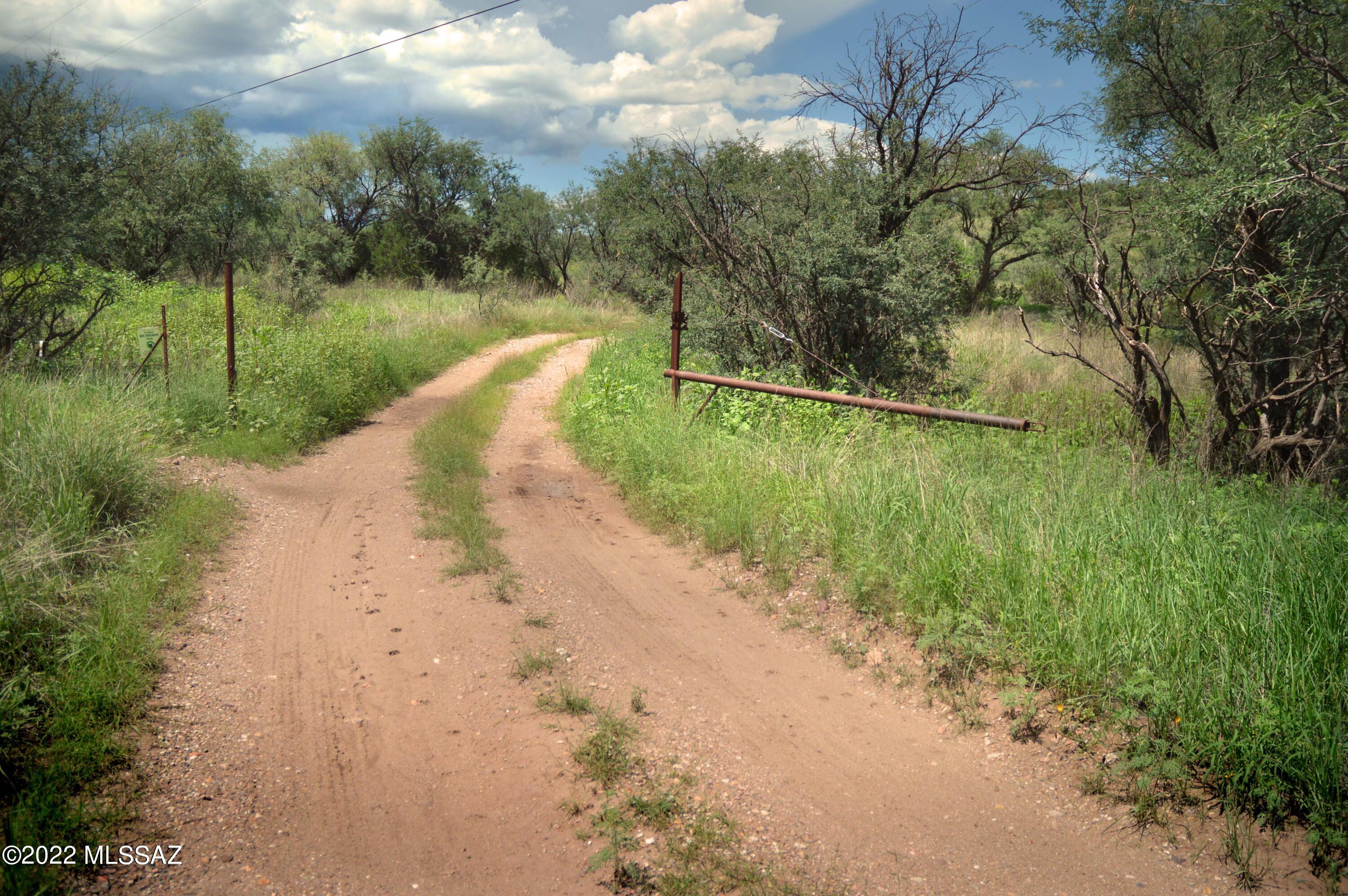 Stevens Canyon Ranch - Land