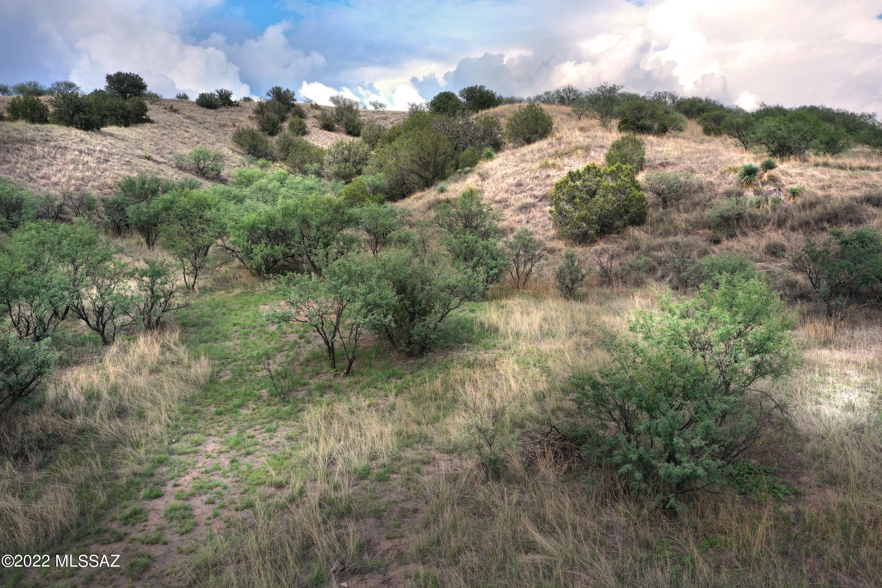 Stevens Canyon Ranch - Land