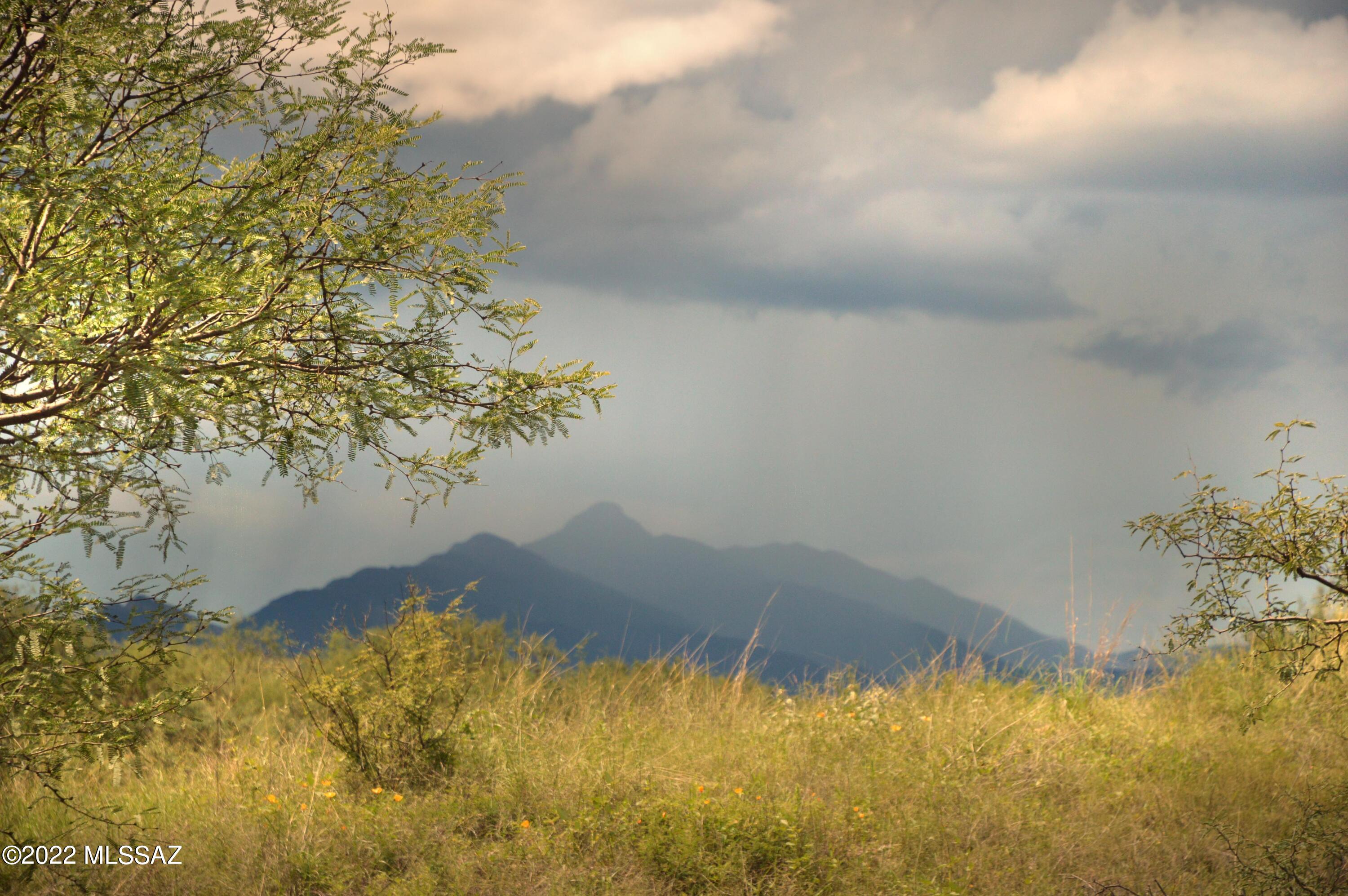 Stevens Canyon Ranch - Land