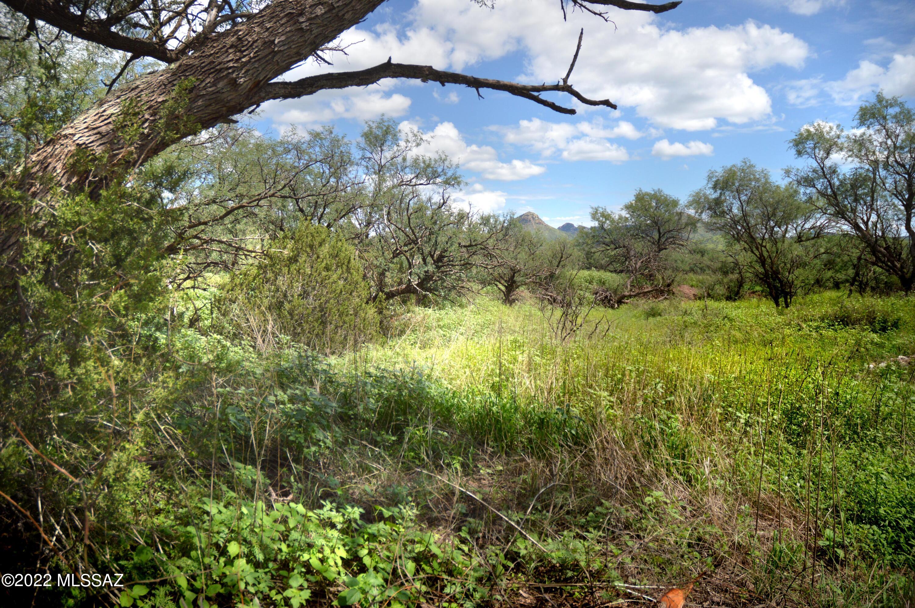 Stevens Canyon Ranch - Land