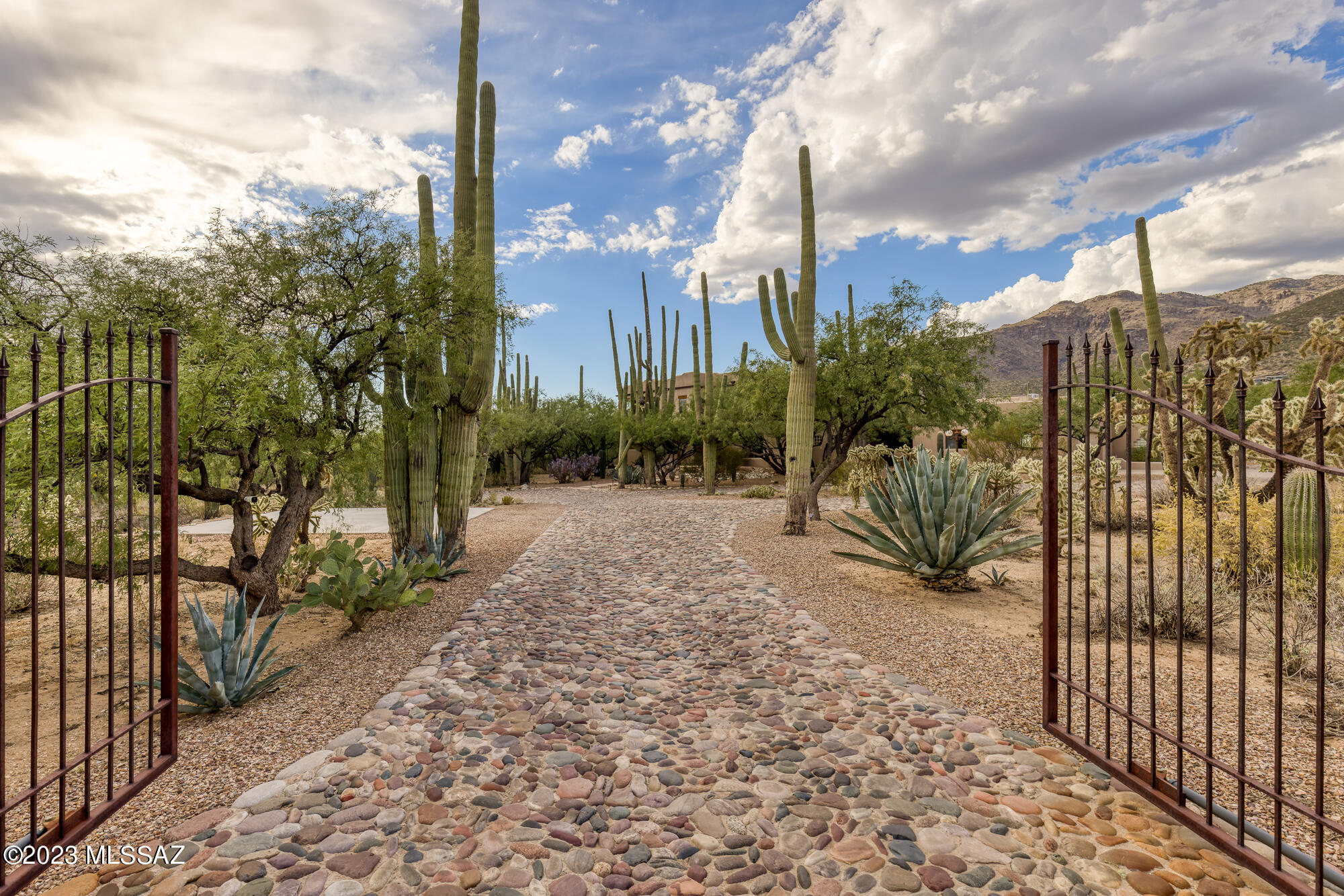 Situated in the picturesque Tanque Verde Valley among a private grove of Saguaro Cacti sits this classic Southwest Hacienda. Upon entering the gated cobblestone driveway you will be surrounded by the desert beauty. Resort like backyard with pool/ spa, & water slide. 3,538 main house consists of everything wanted to enjoy both the outdoors & indoors. Oversized chef's kitchen, stately living area, dining room, media room, bedroom w/full bath & additional half bath for guests. Upstairs you will find large primary suite, additional 2 bedrooms, hall bath & multiple alcoves for daily living. 384 sf Guest Quarters has bright living area, bedroom w/bath. Oversized 3 car garage, Tesla Solar, & seamless copper rain harvesting system. No HOA, Horses allowed, & steps to Milagrosa Canyon Trail.