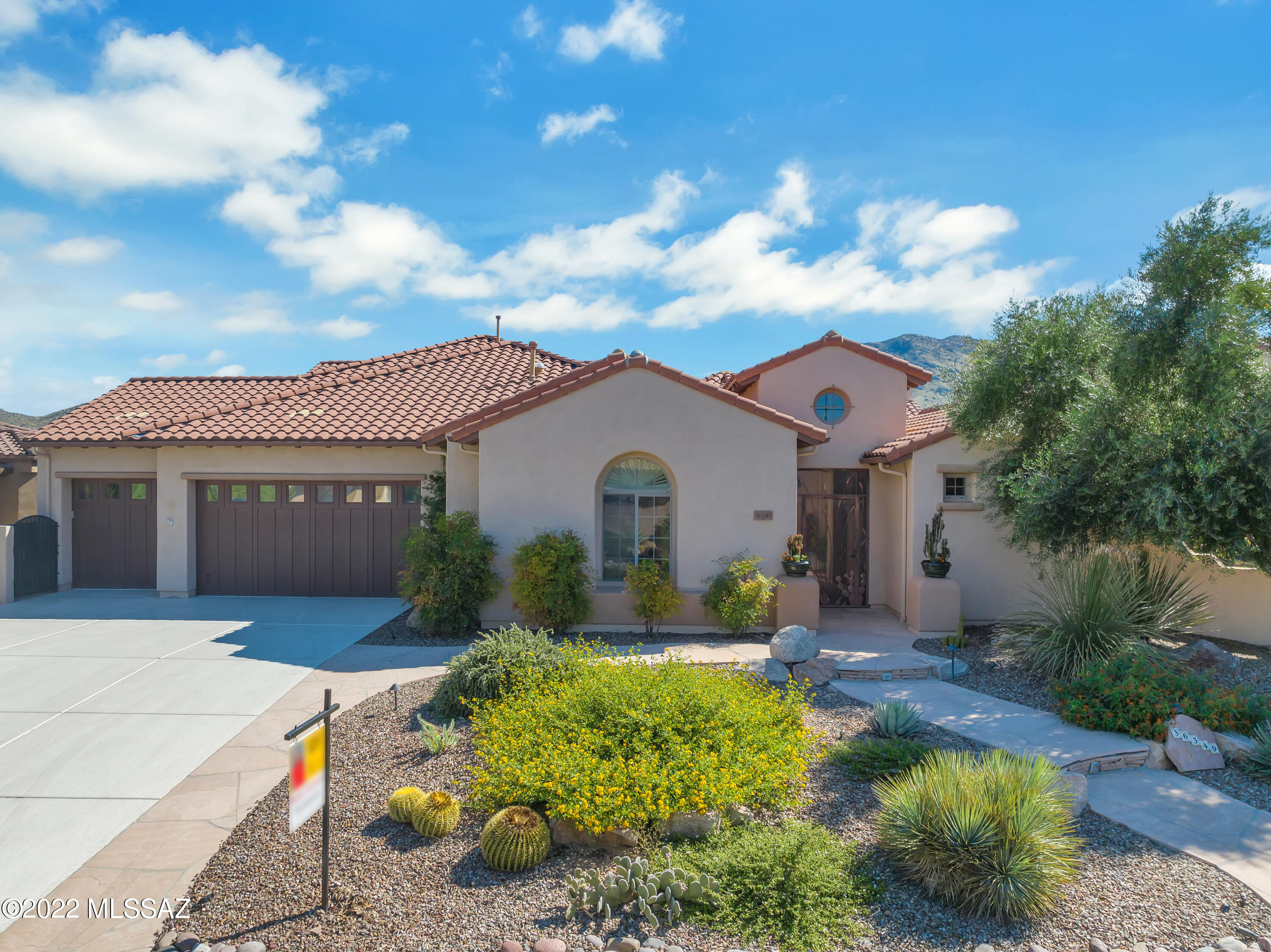 Saddlebrooke - Residential