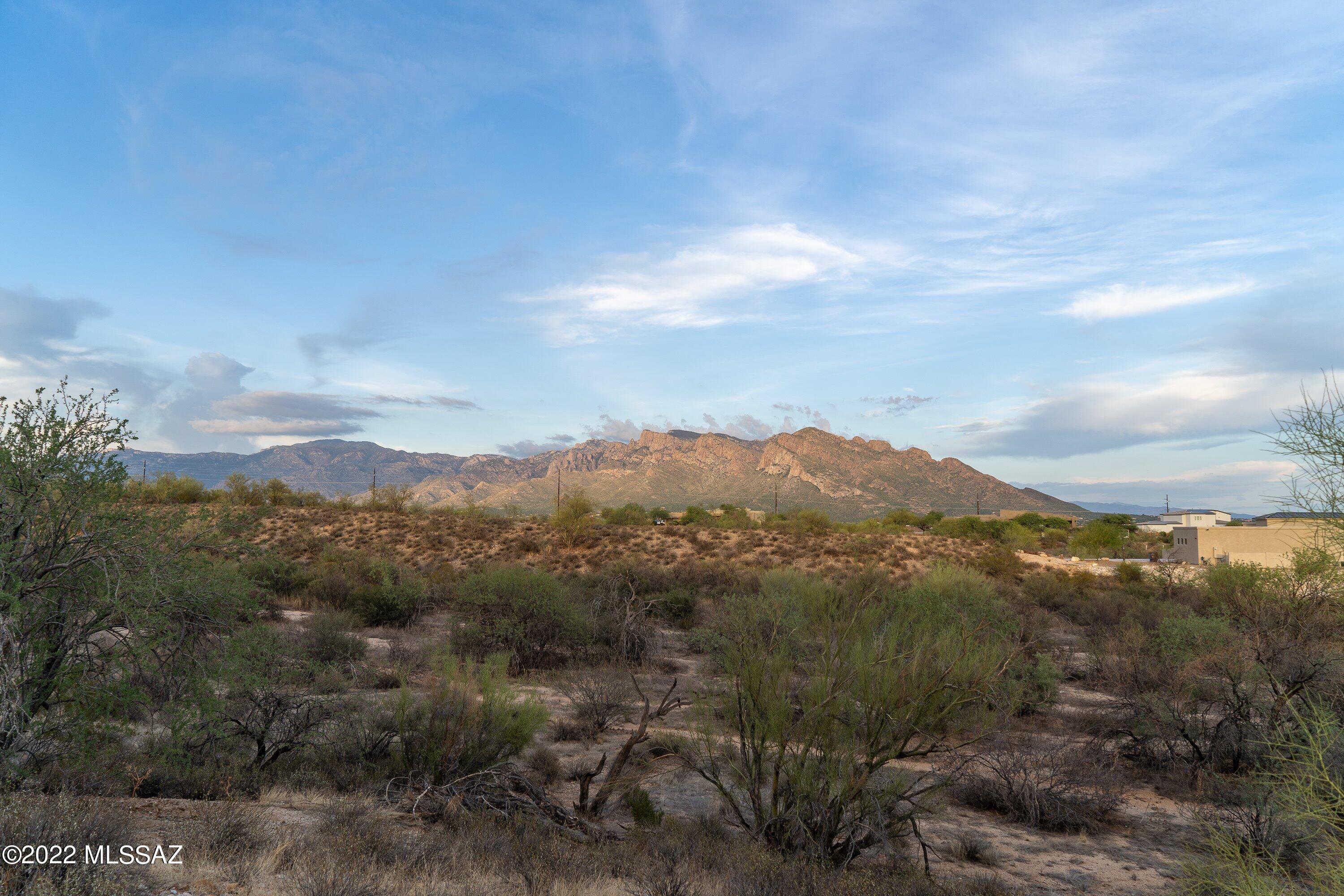 Chaparral Heights (1-73) - Residential