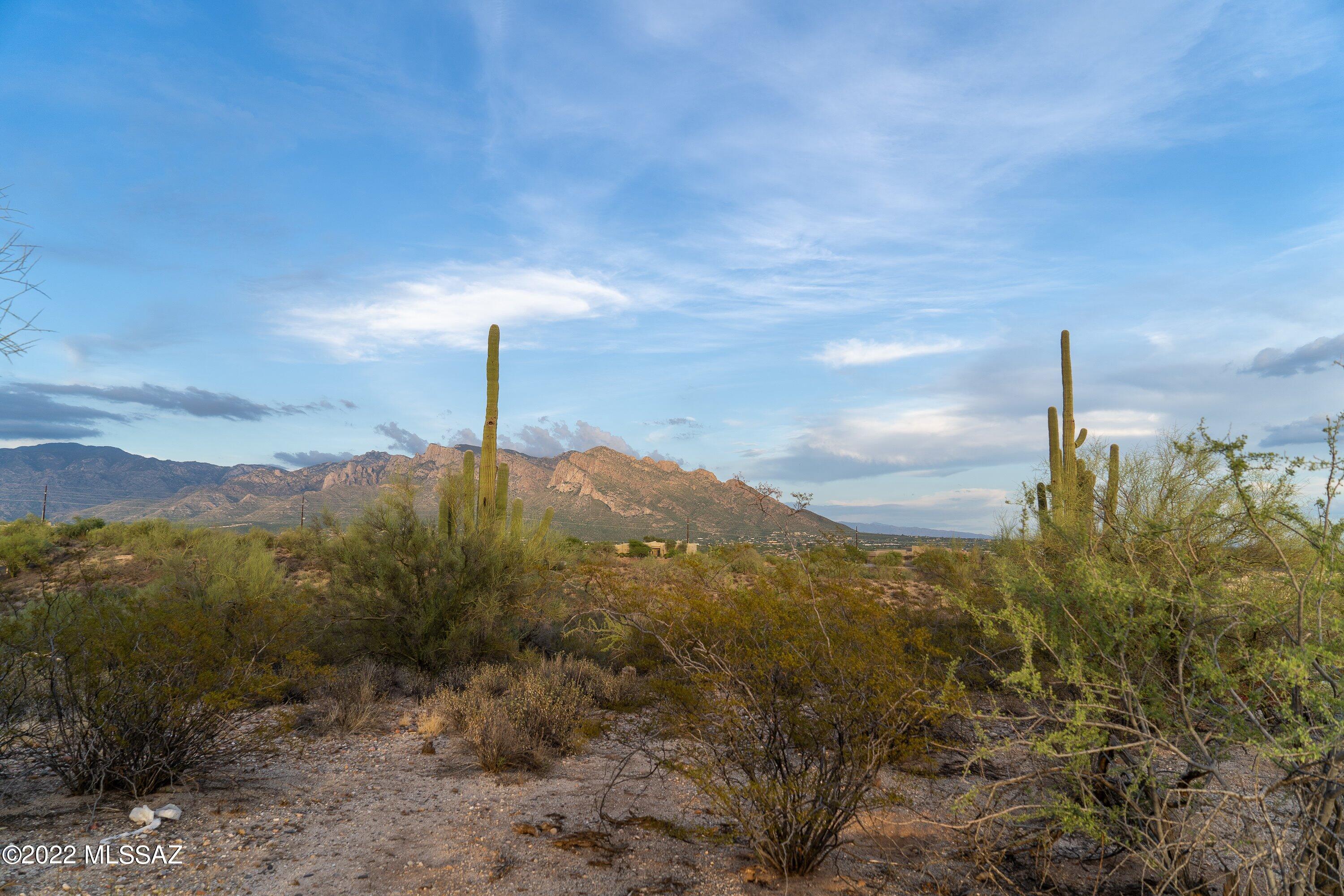 Chaparral Heights (1-73) - Residential