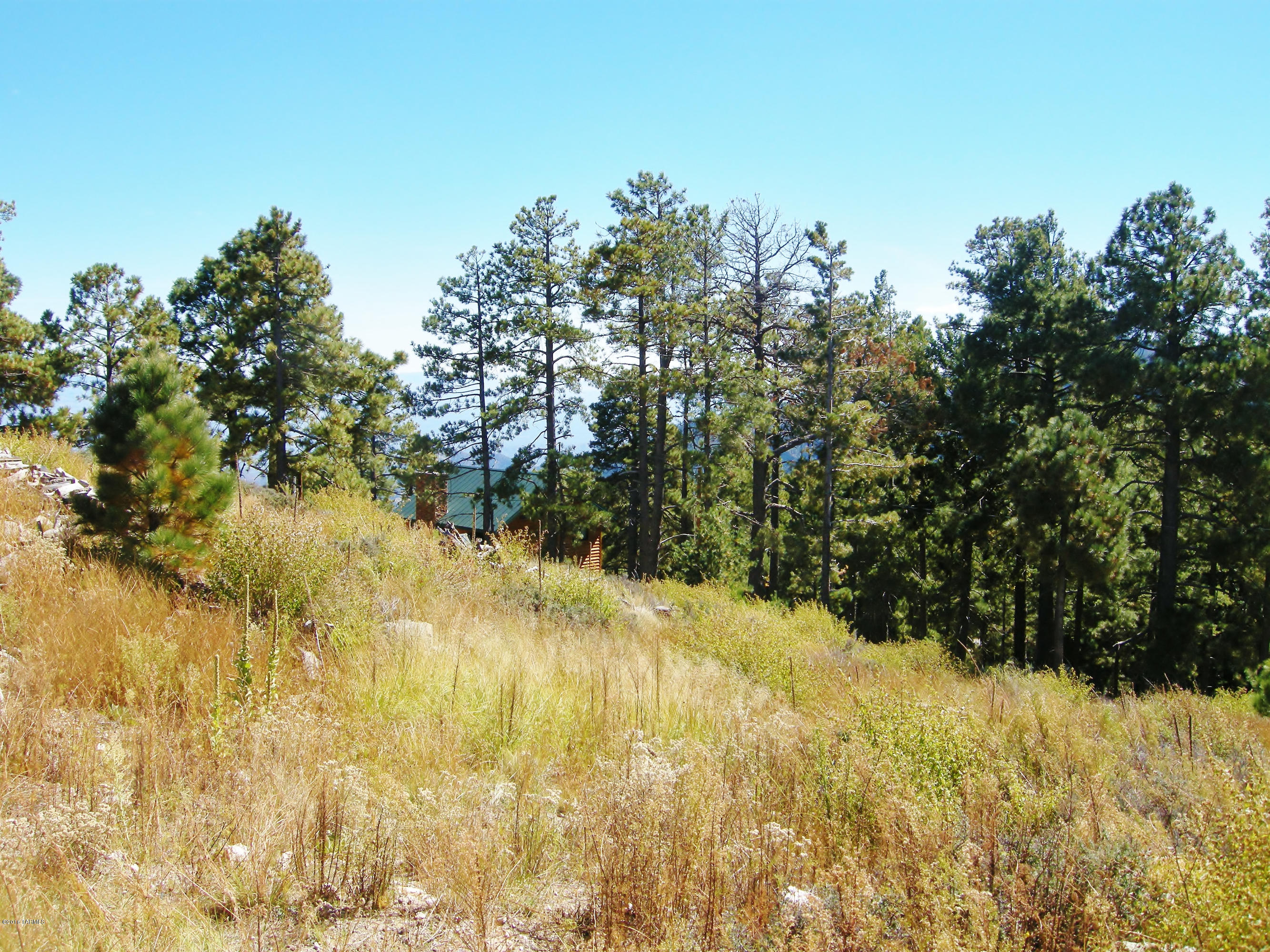 Loma Sabino Pines - Land