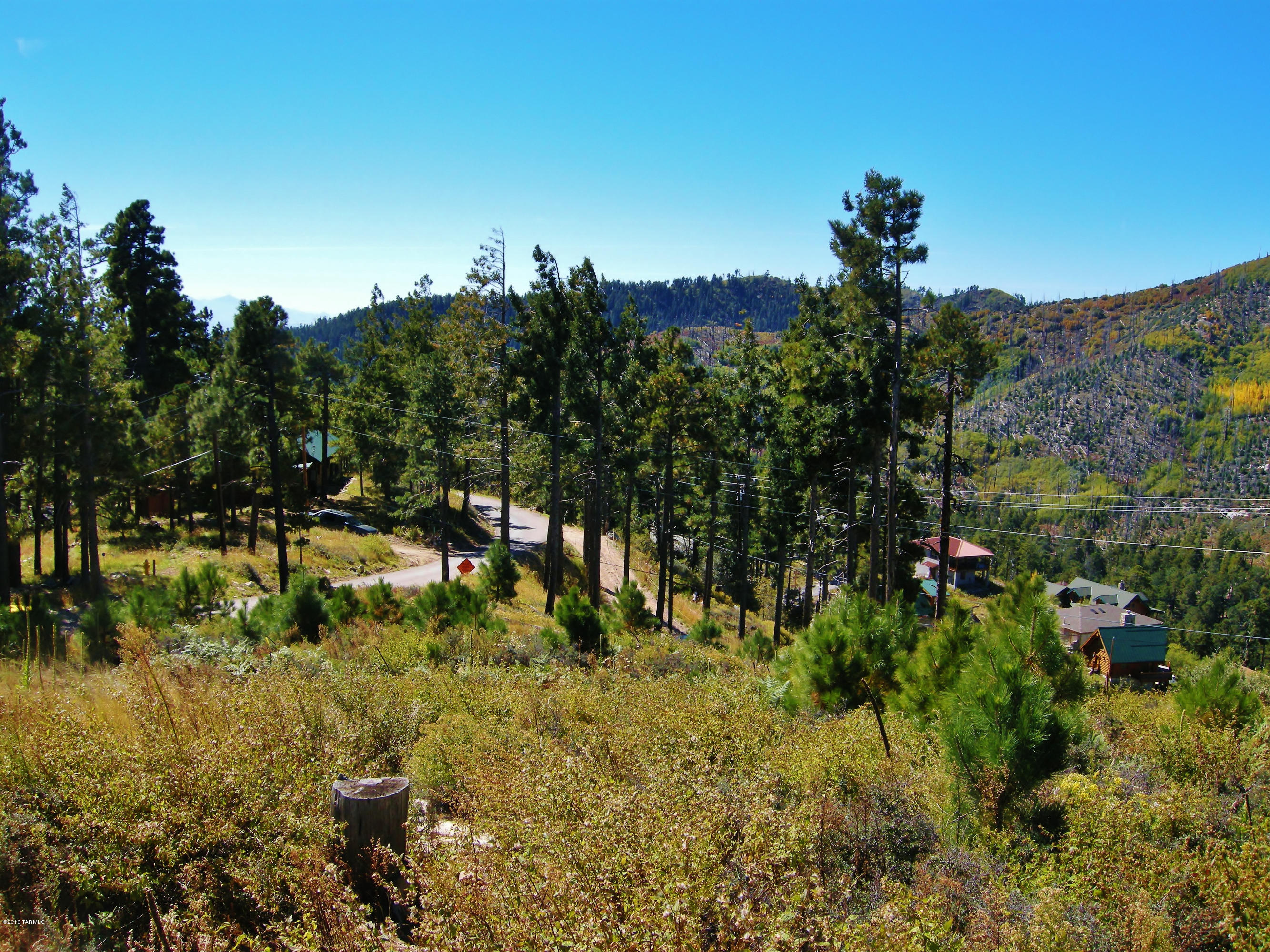 Loma Sabino Pines - Land
