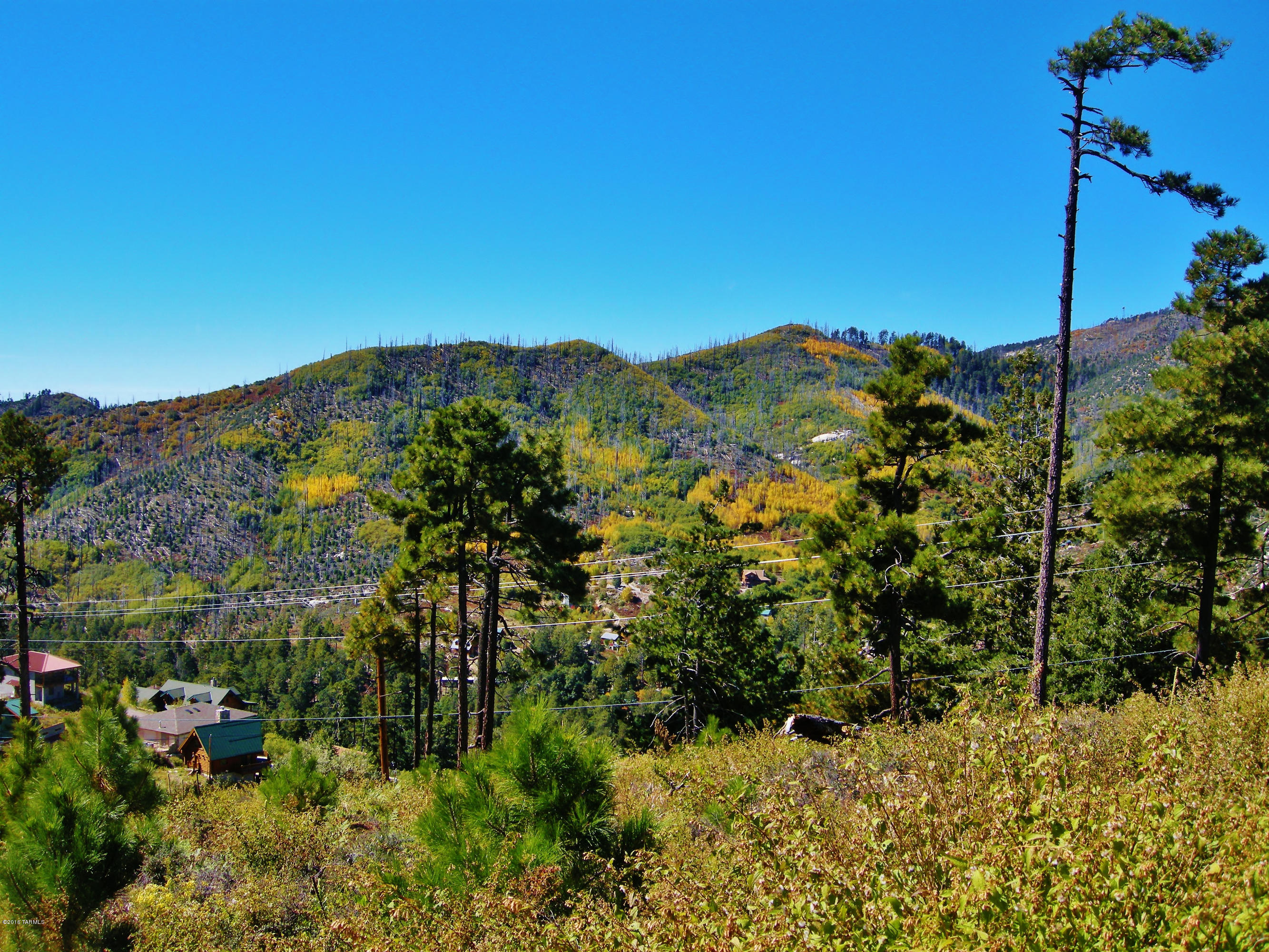 Loma Sabino Pines - Land