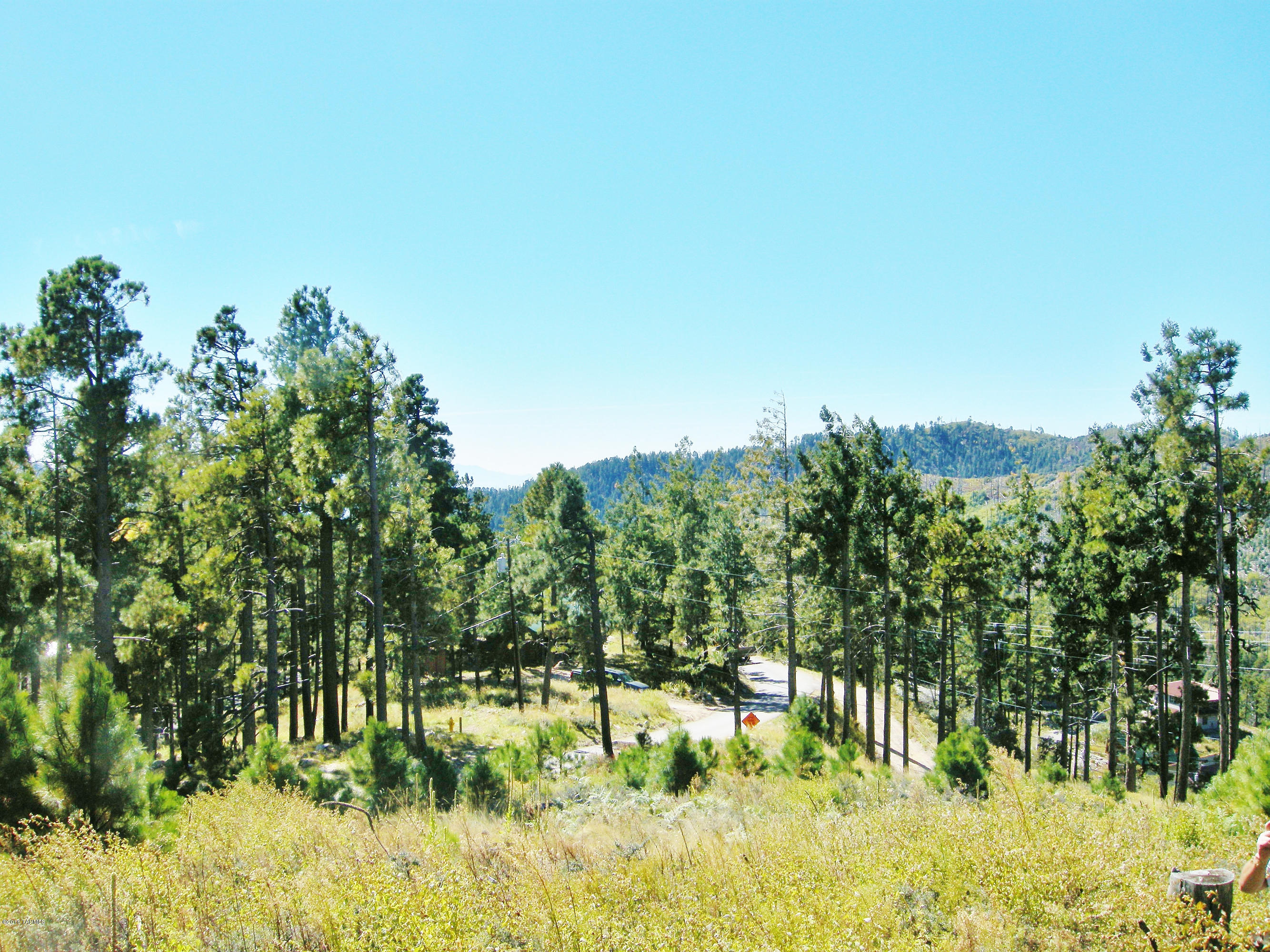 Loma Sabino Pines - Land