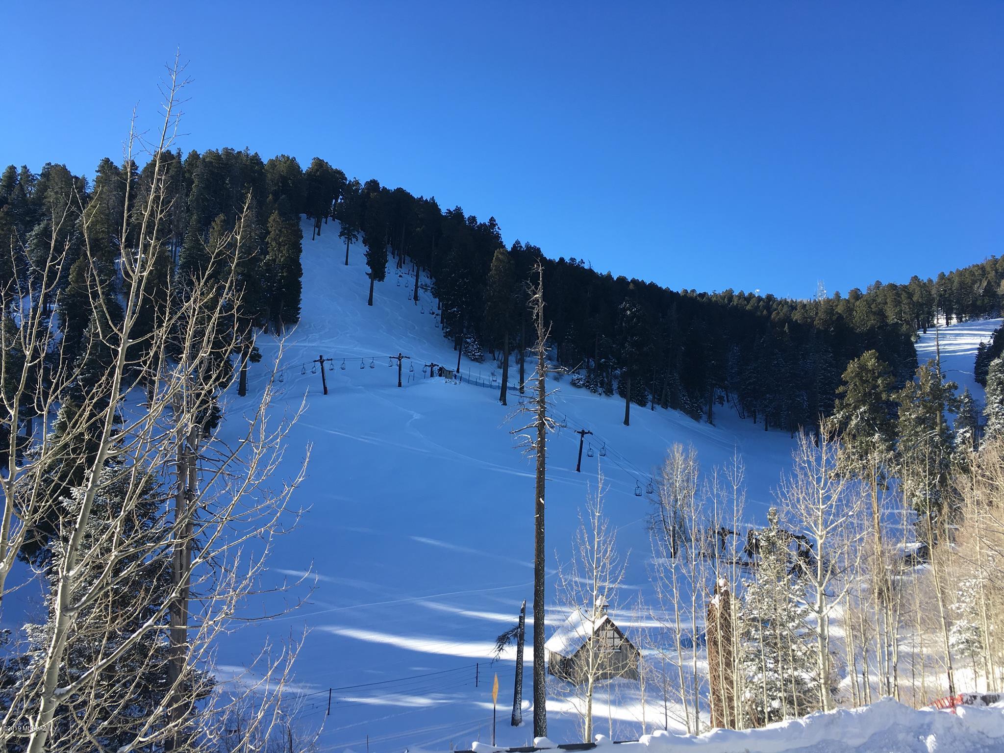 Loma Sabino Pines - Land