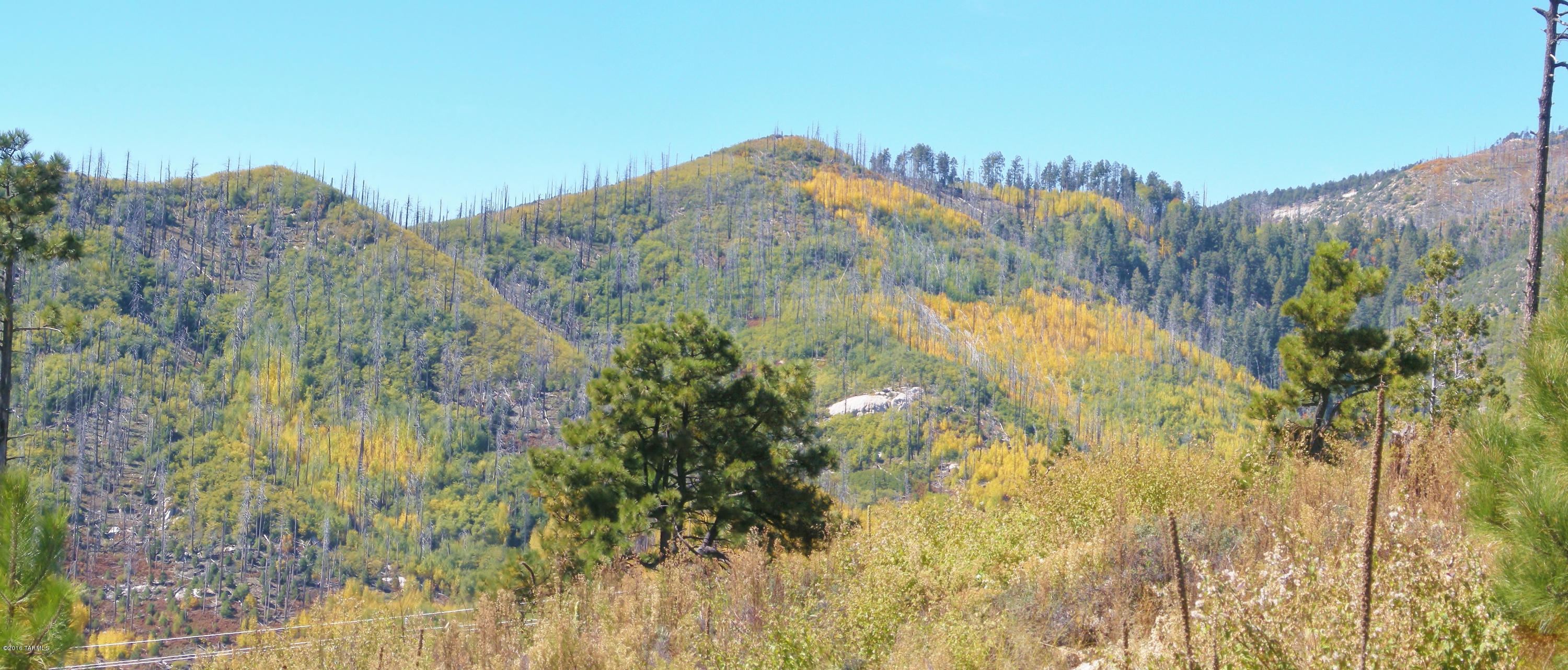 This beautiful large lot sits up high with beautiful views of both Sabino Valley and San Pedro Valley. One of the best view lots on the mountain. Lot is in the Loma Sabino Pines subdivision with 16,000 sq ft. Gentle slope, easy build able lot.  Perfect spot for your mountain dream cabin.
Trico Electric 744-2944
Mt.lemmon H20 325-9558
Simply Bits Internet 545-0400