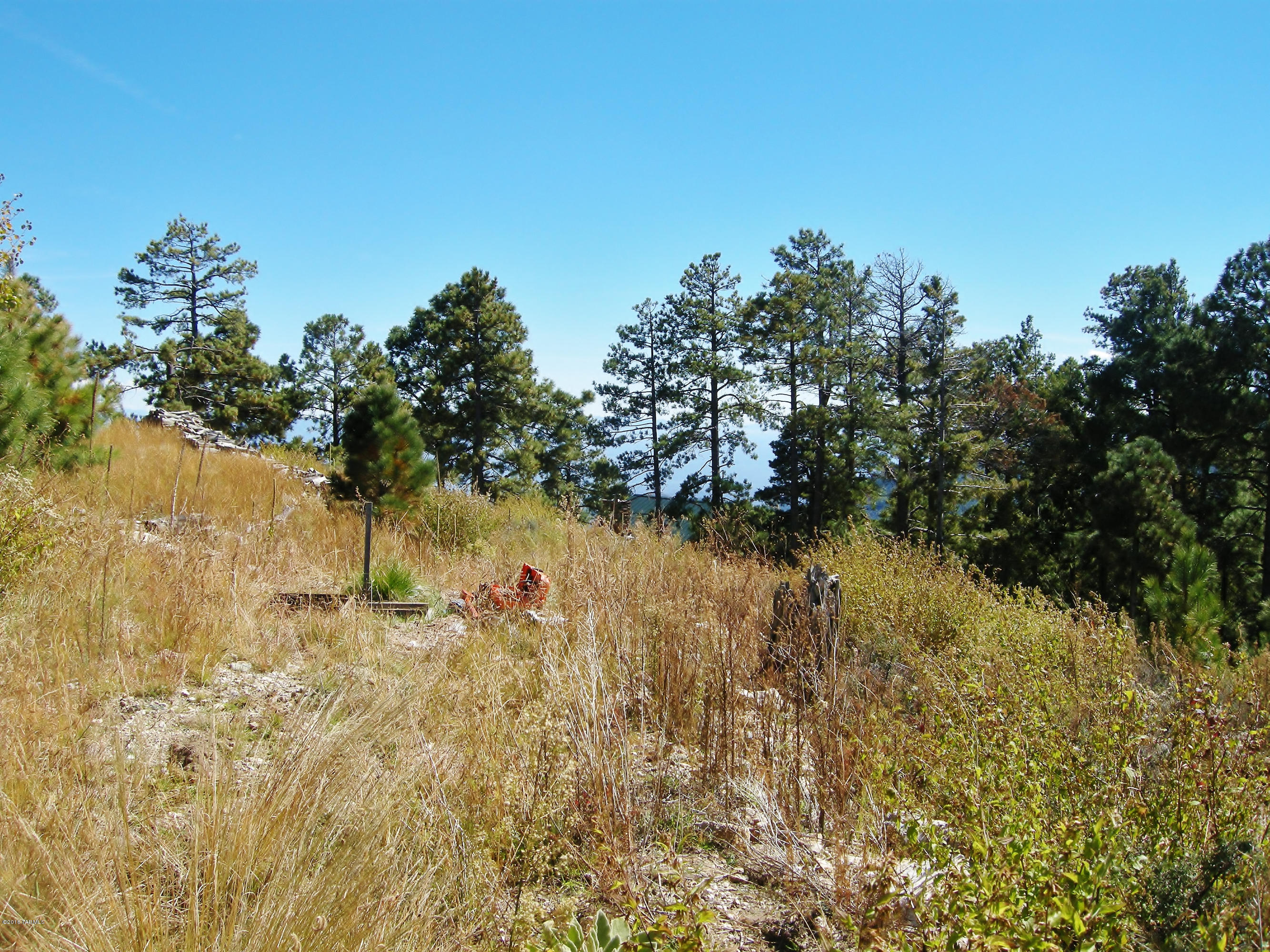 Loma Sabino Pines - Land