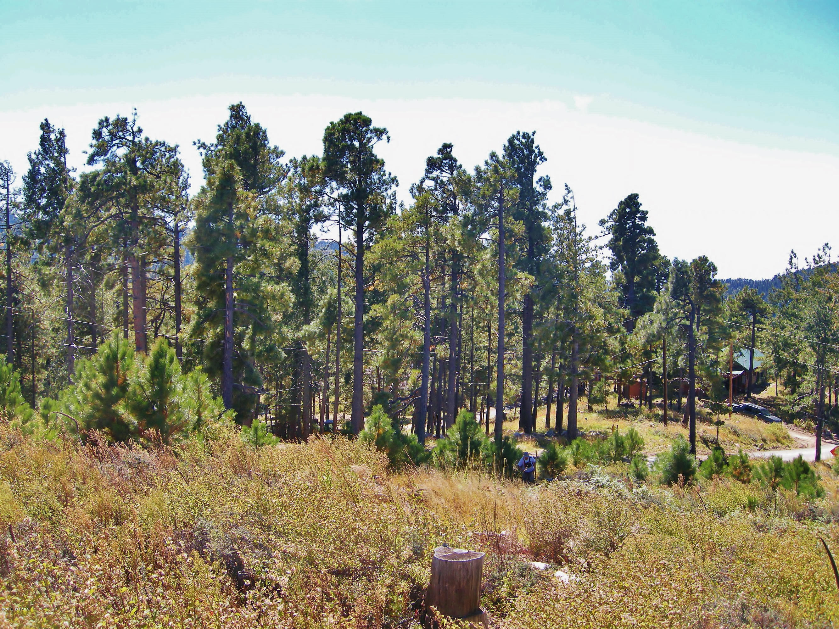 Loma Sabino Pines - Land