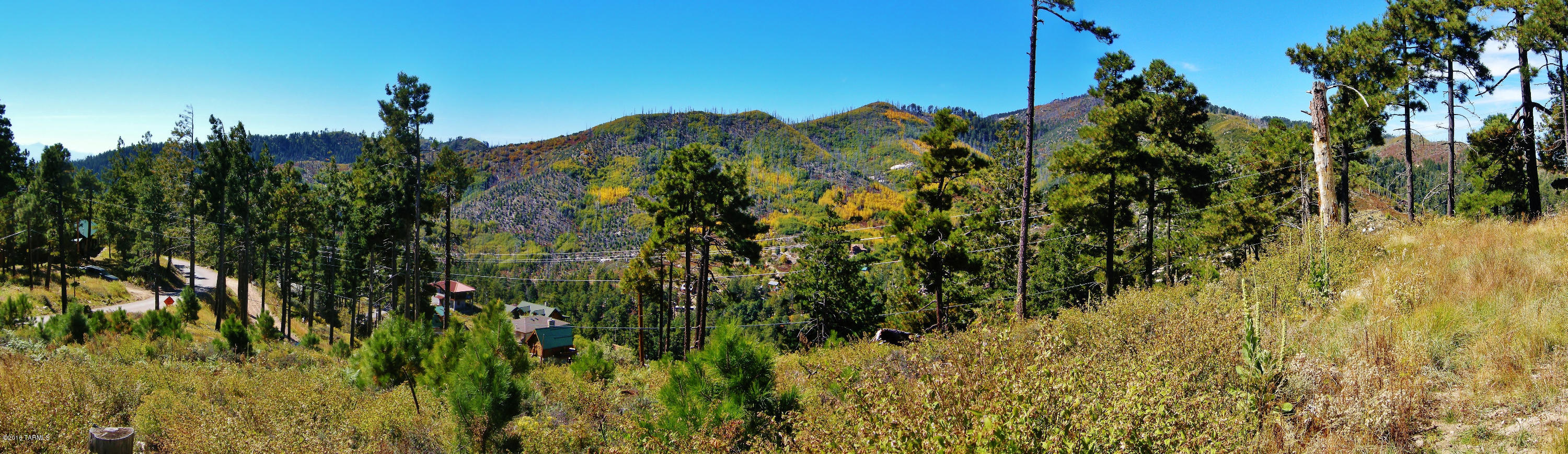 Loma Sabino Pines - Land