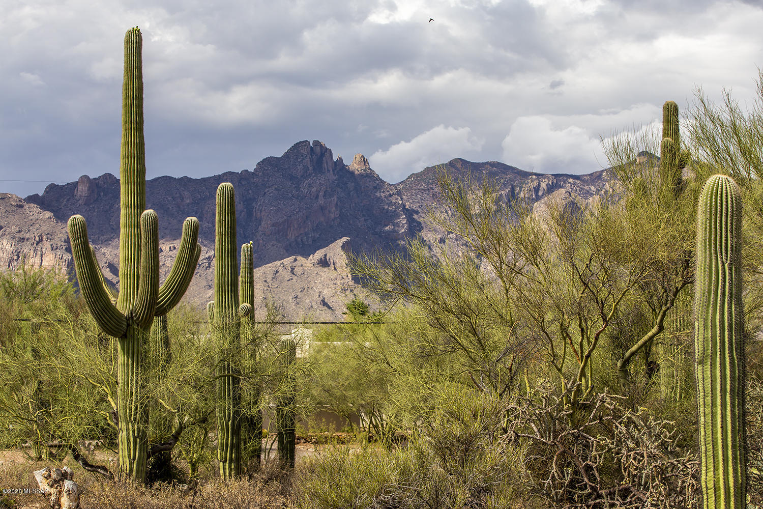 Catalina Foothills Estates  NO. 4 (401-428) - Residential