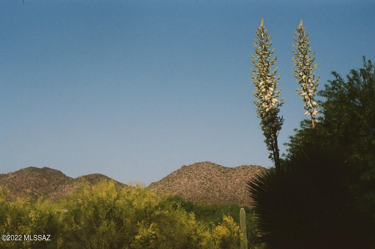 Quail Ridge (1-52) - Residential