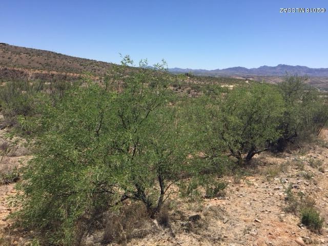 Rio Rico Ranchettes 17 - Land